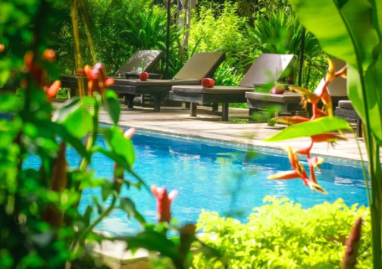 Pool view, Swimming Pool in Ladear Privilege Rooms