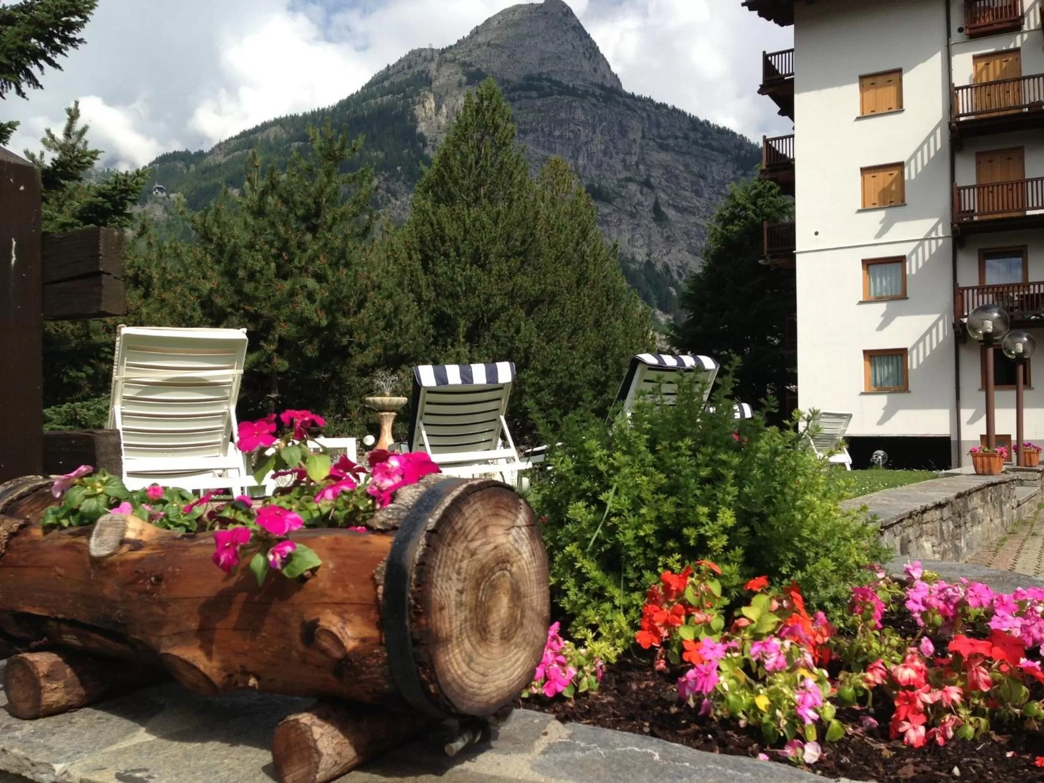Garden in Hotel Triolet