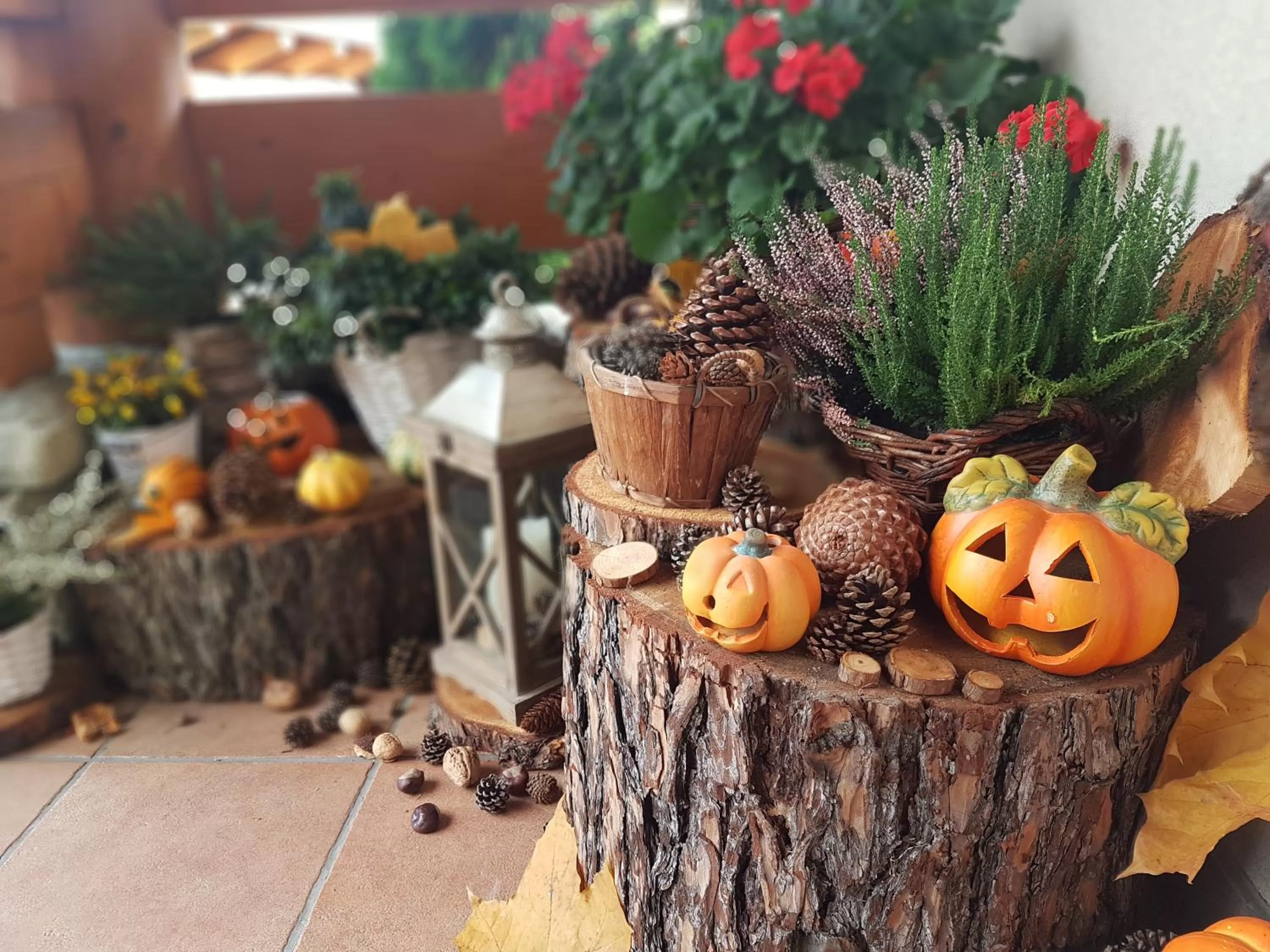 Leśny Dworek Zakopane