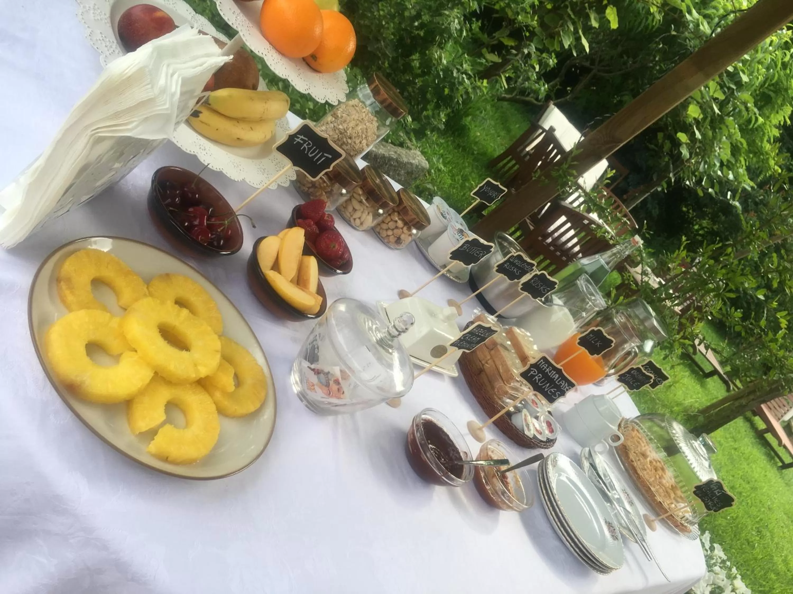 Rossella alla Villarella dei Tulipani