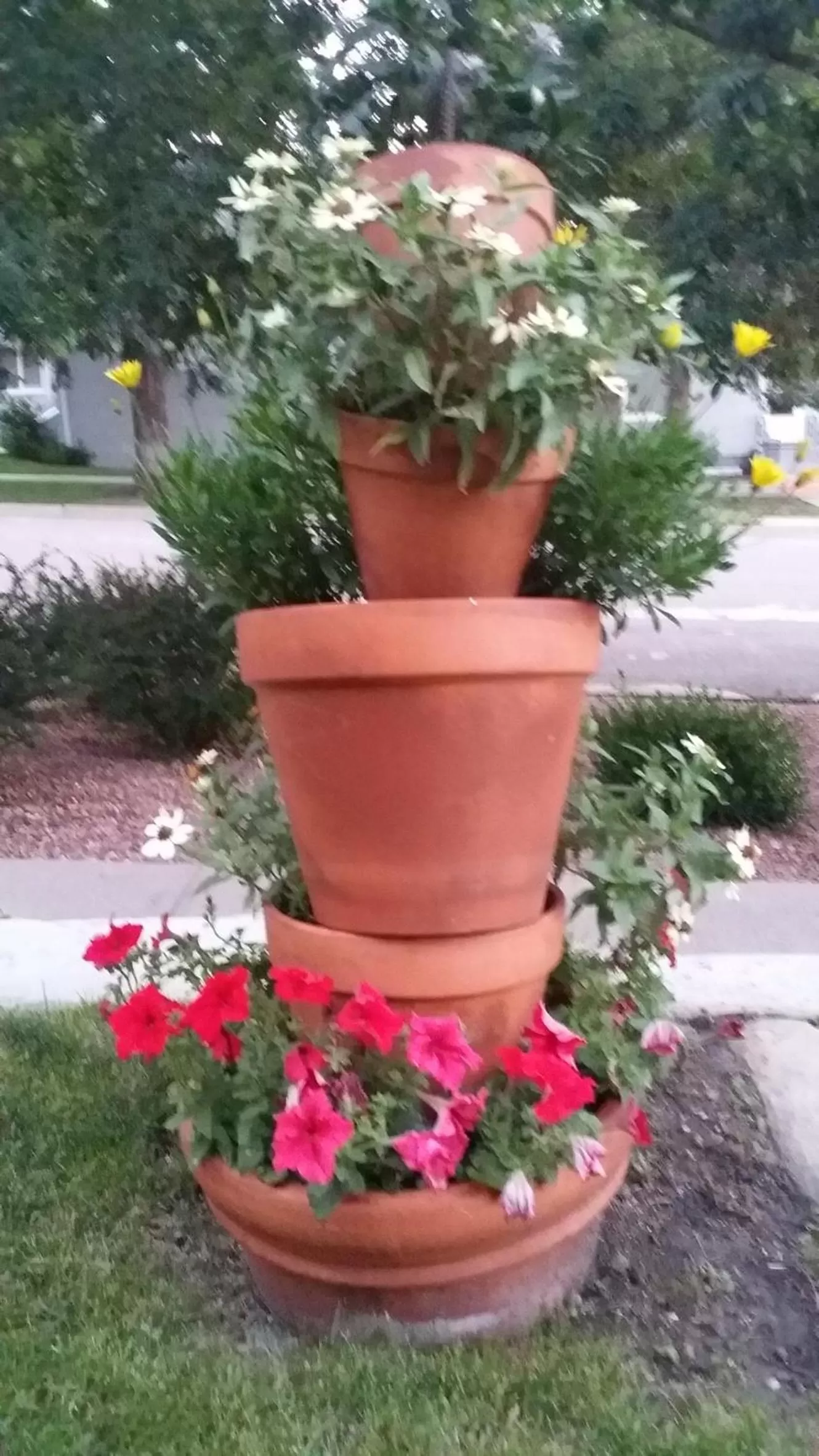 Garden in Heart's Desire Inn