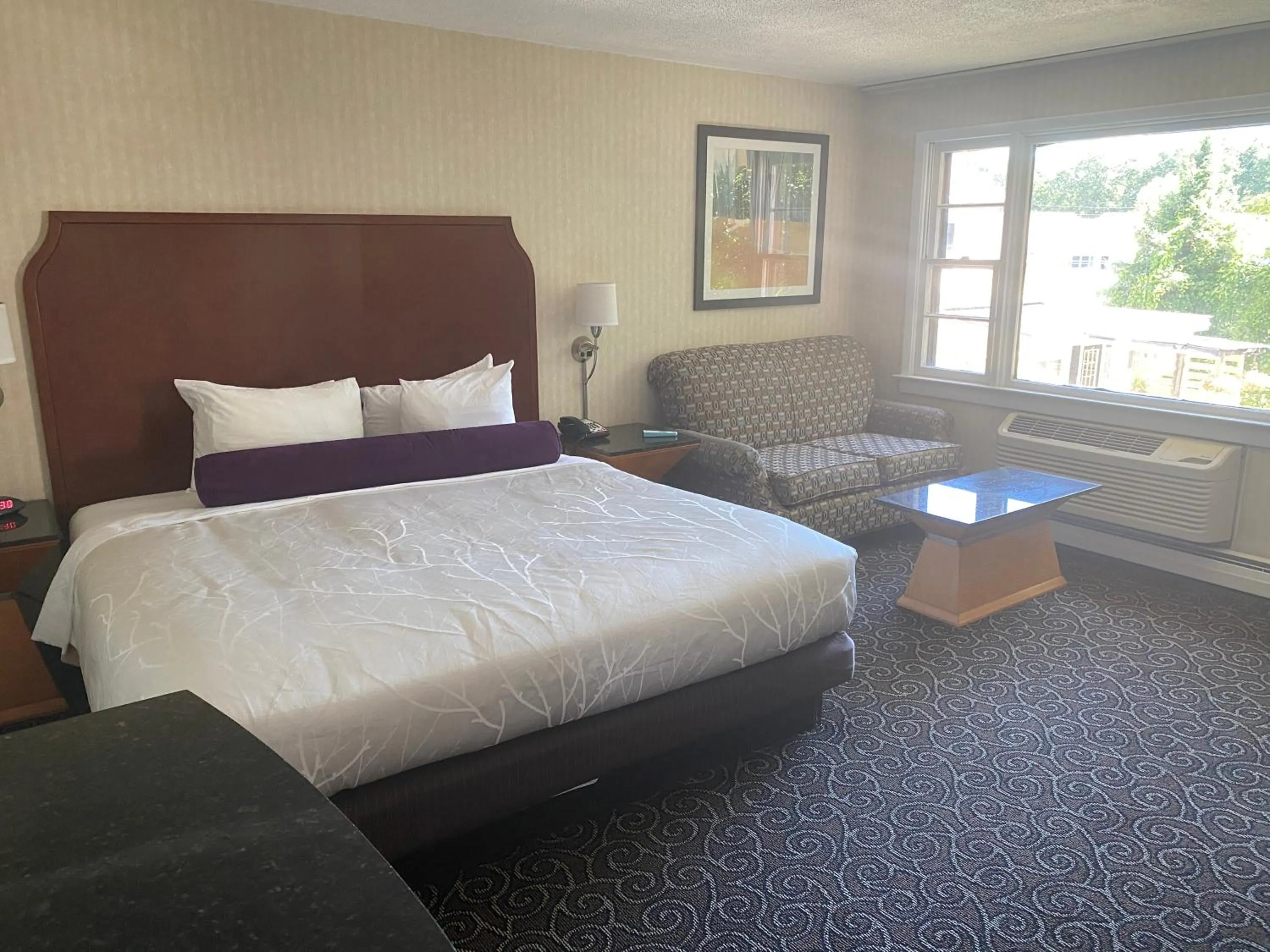 Photo of the whole room, Bed in The Black Mountain Inn