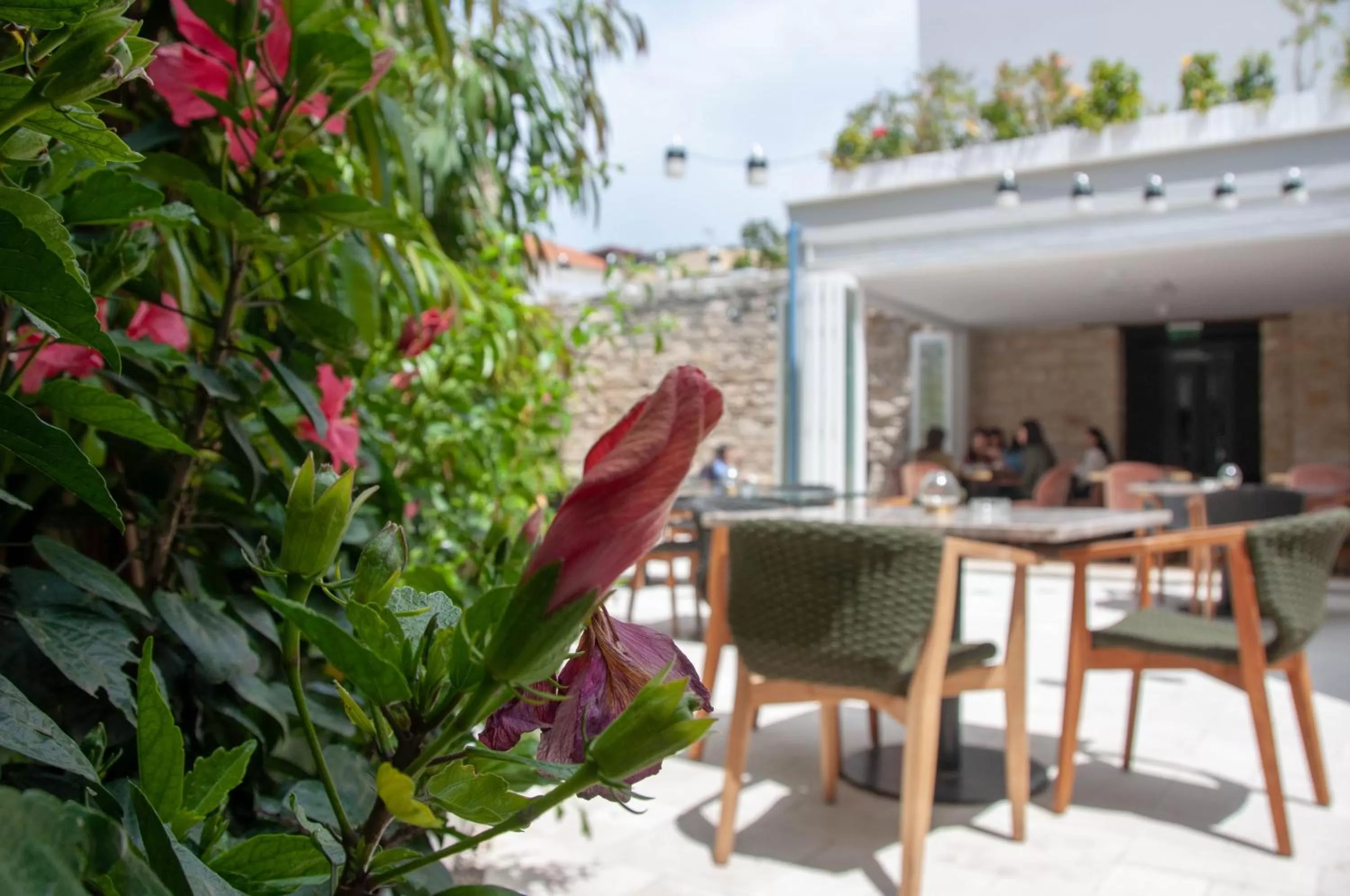 Restaurant/places to eat in S Paul City Hotel