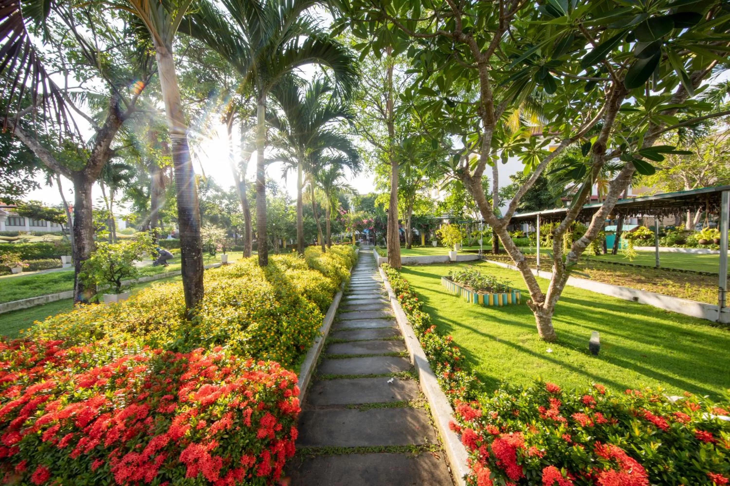Garden in ÊMM Hotel Hoi An