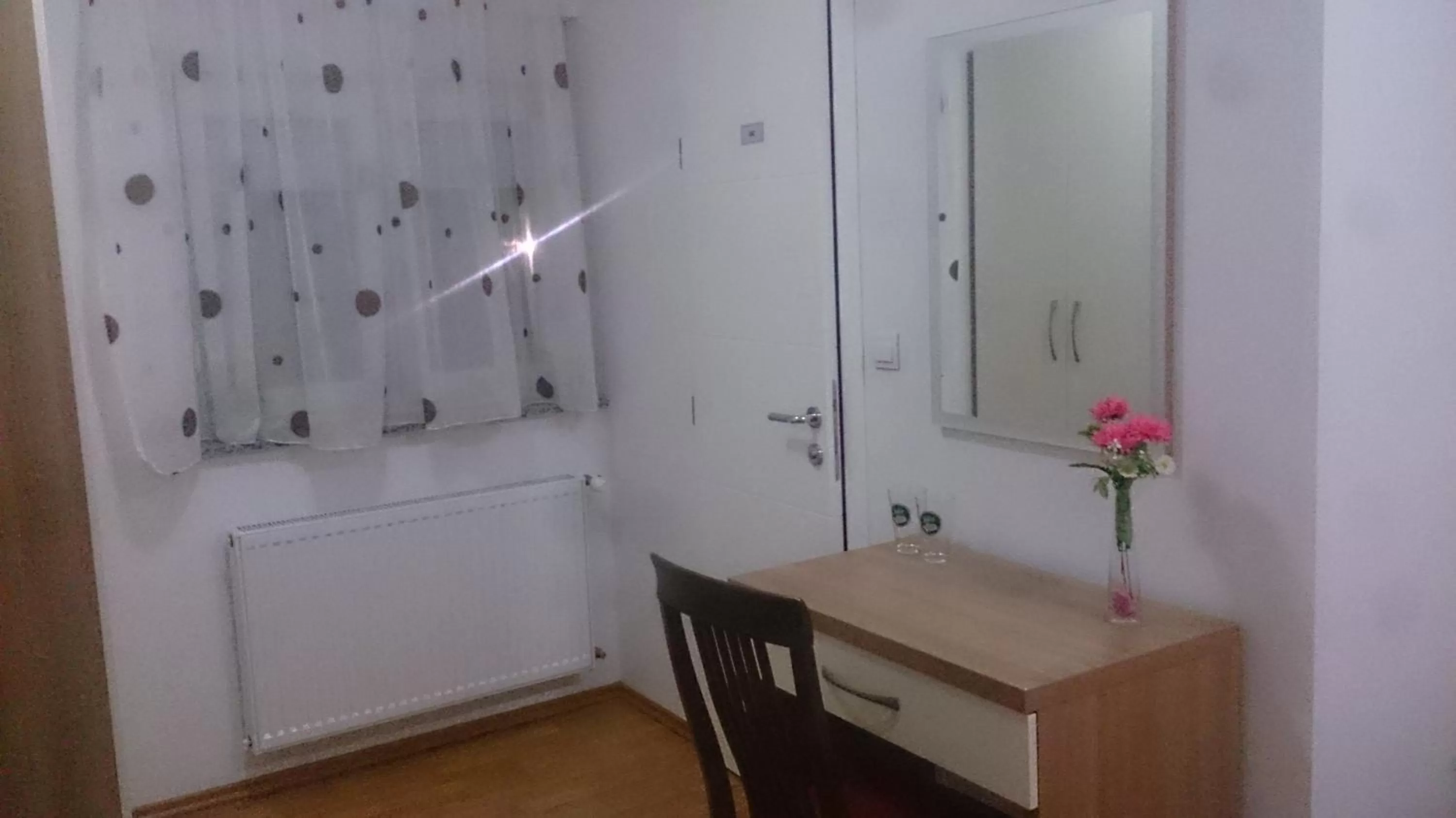 Decorative detail, Bathroom in Lugarnica