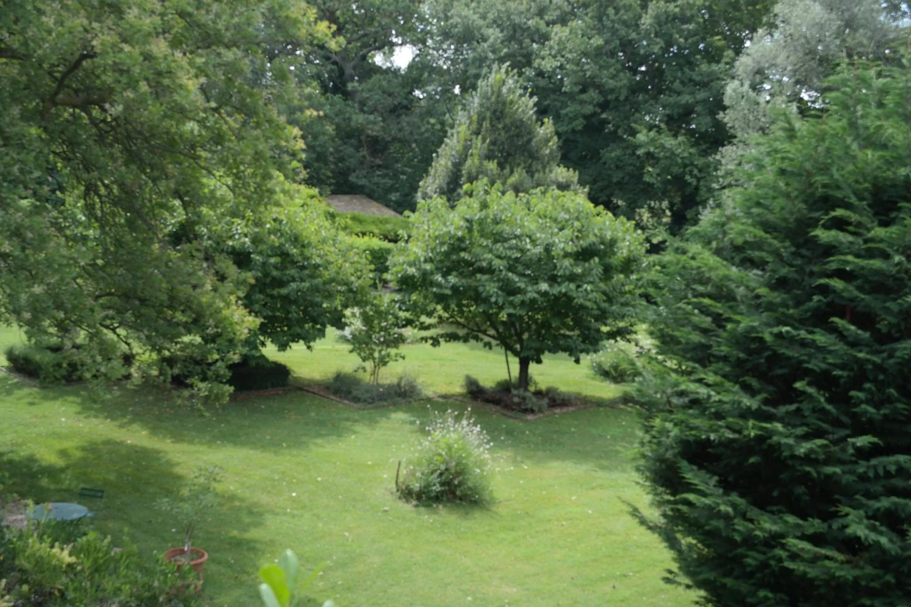 Garden in Le Pavillon Vert - B&B