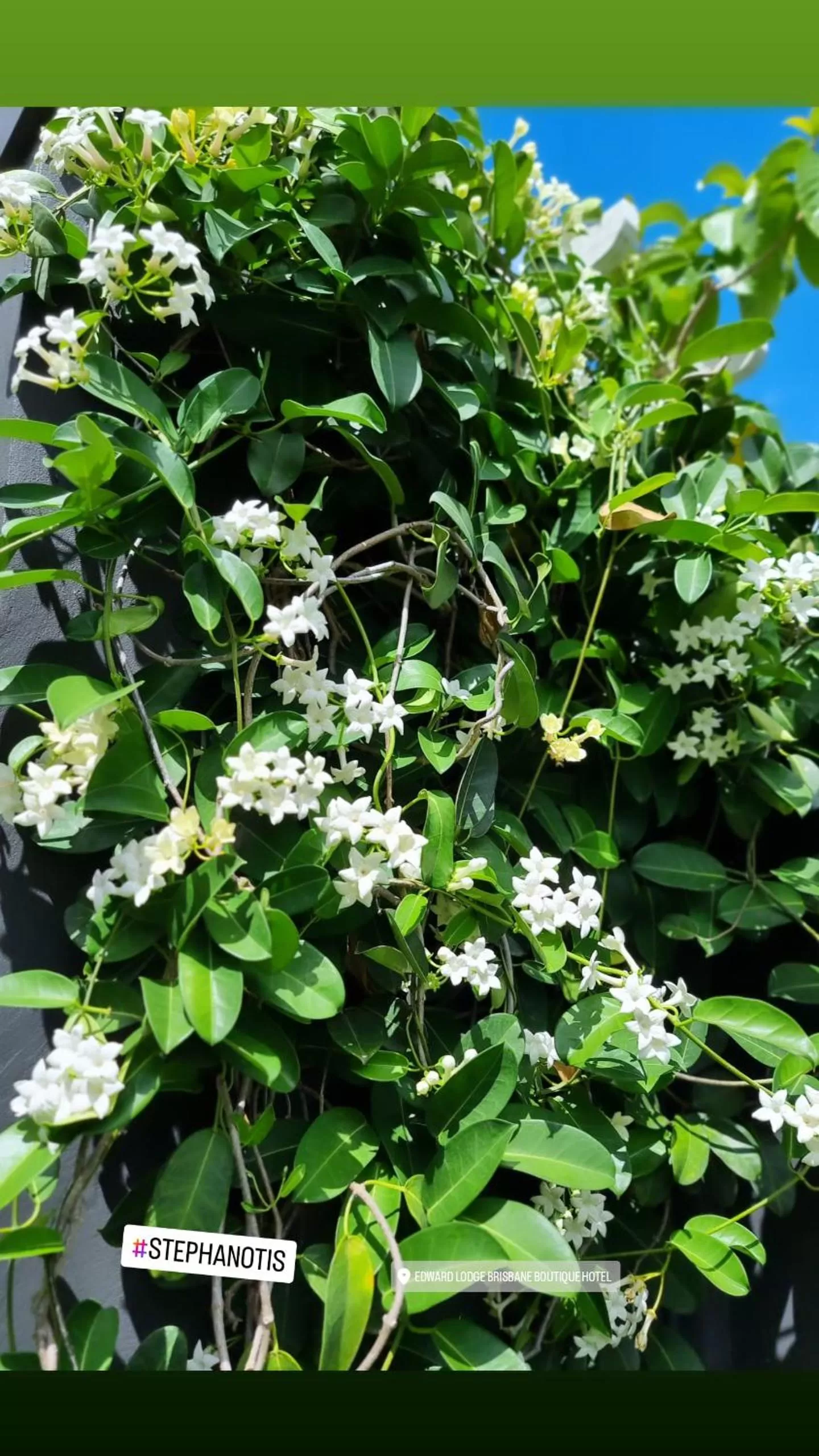 Day in Edward Lodge New Fam