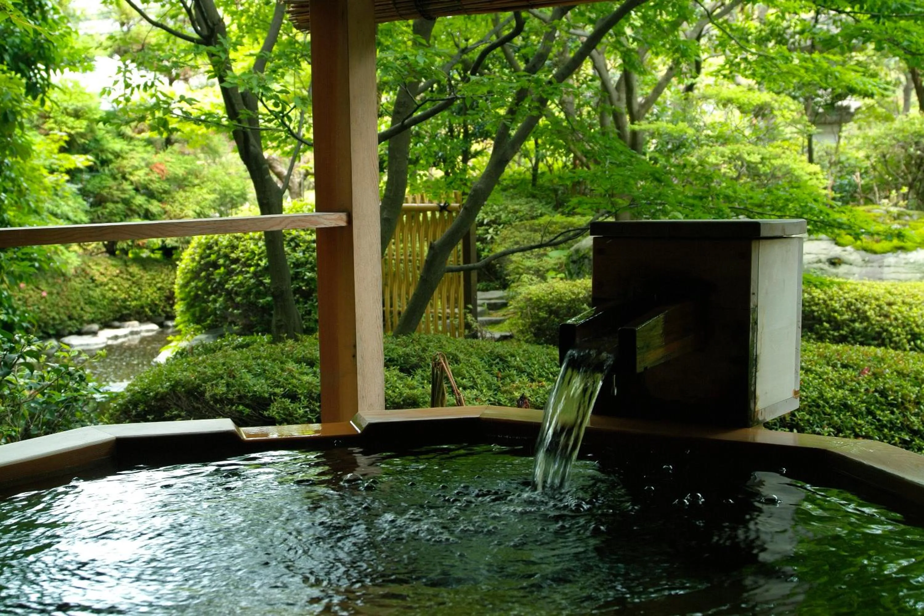 Photo of the whole room in Grandia Housen