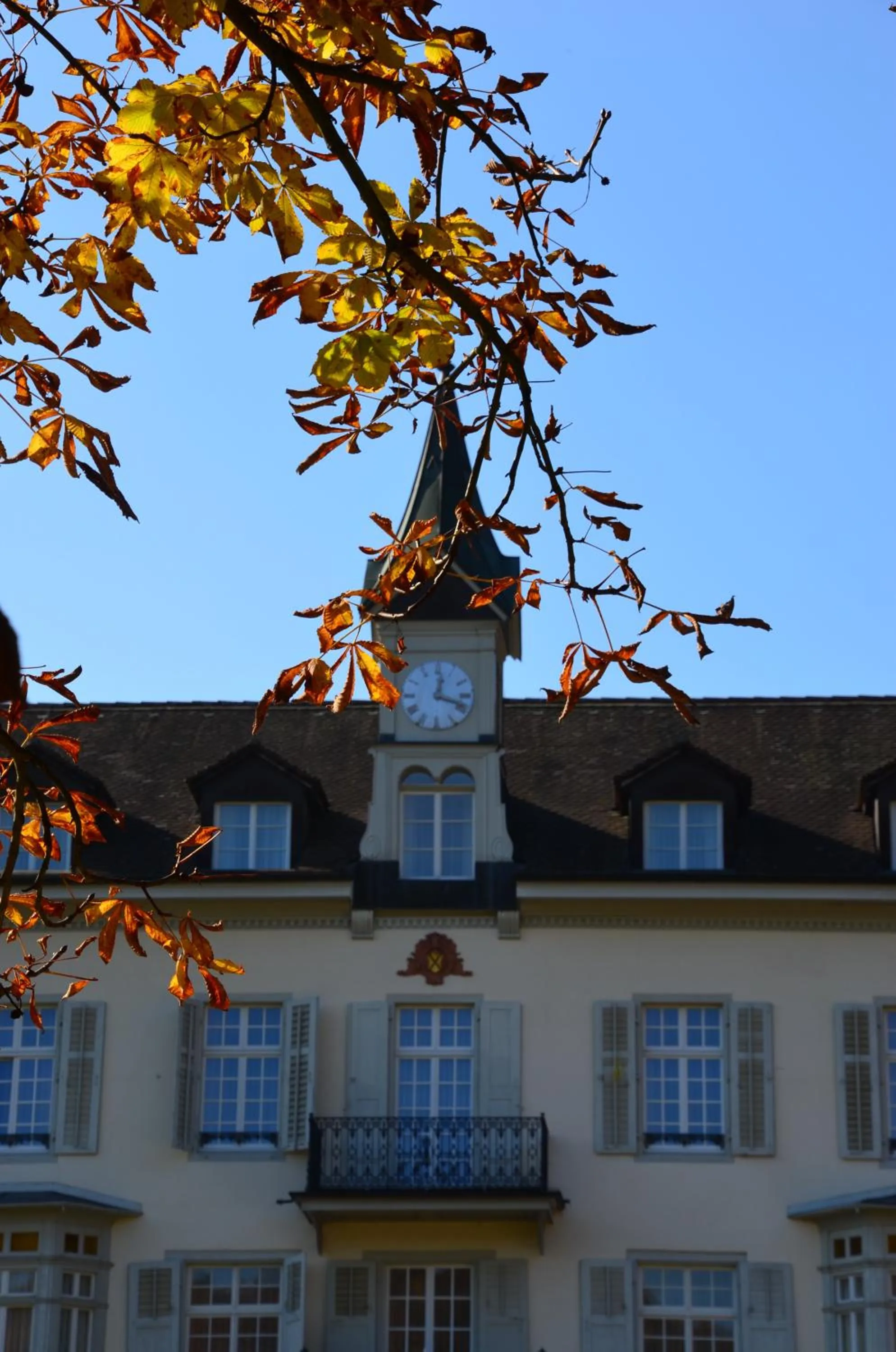 Property building in Bad Schauenburg