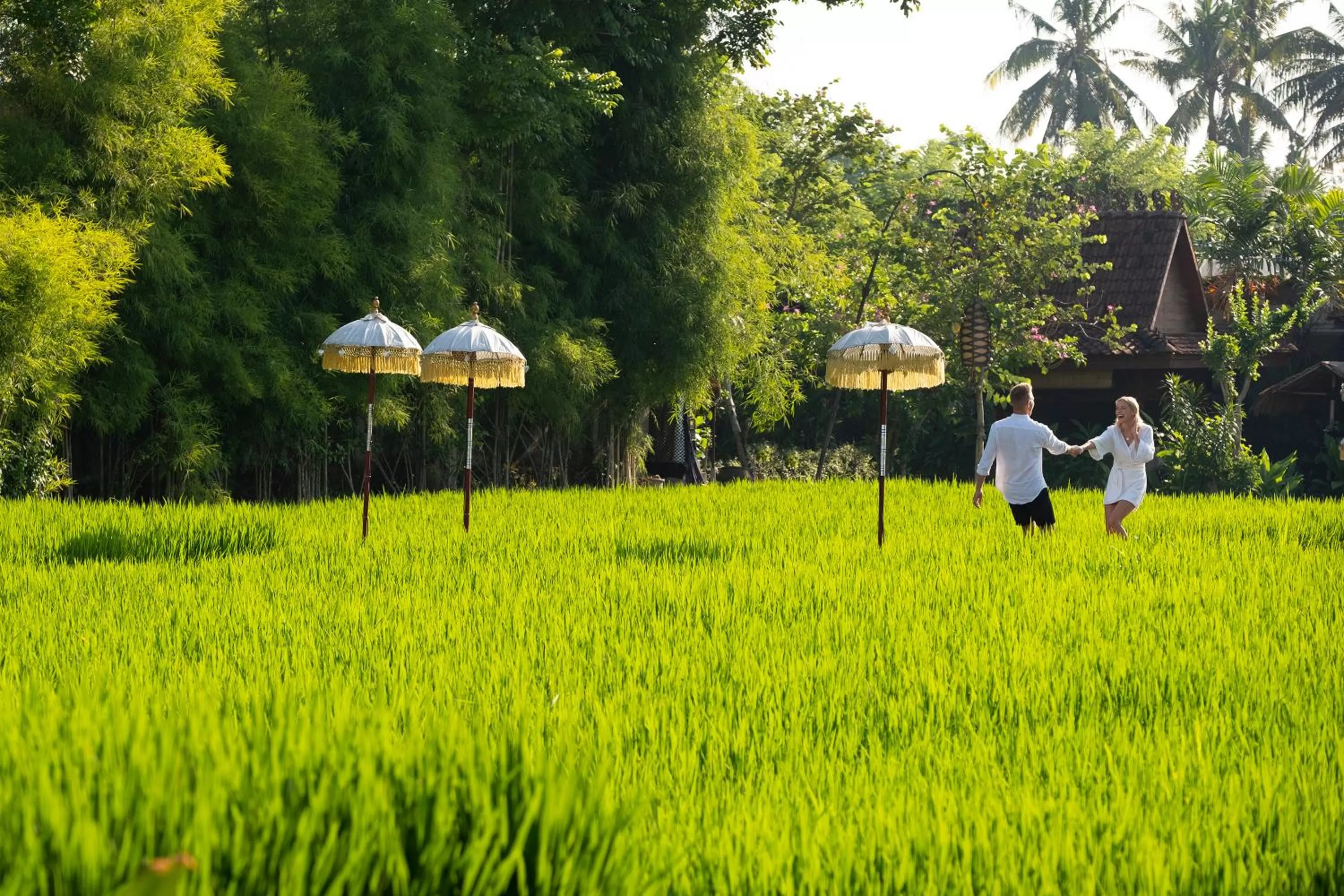 Garden in Alaya Resort Ubud