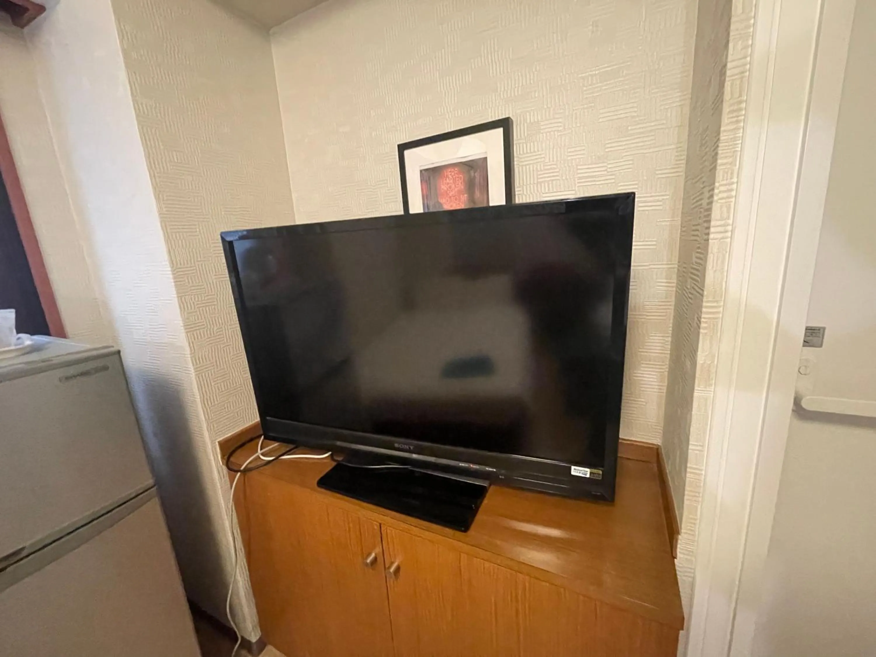 TV and multimedia in Kawasaki Station Inn