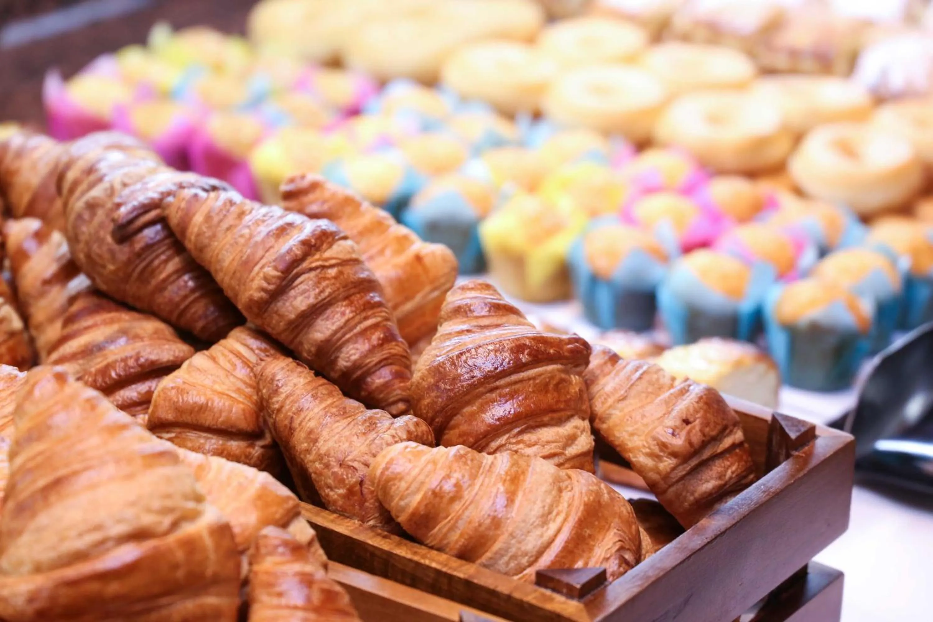 Buffet breakfast in KAKTUS Hotel Volga