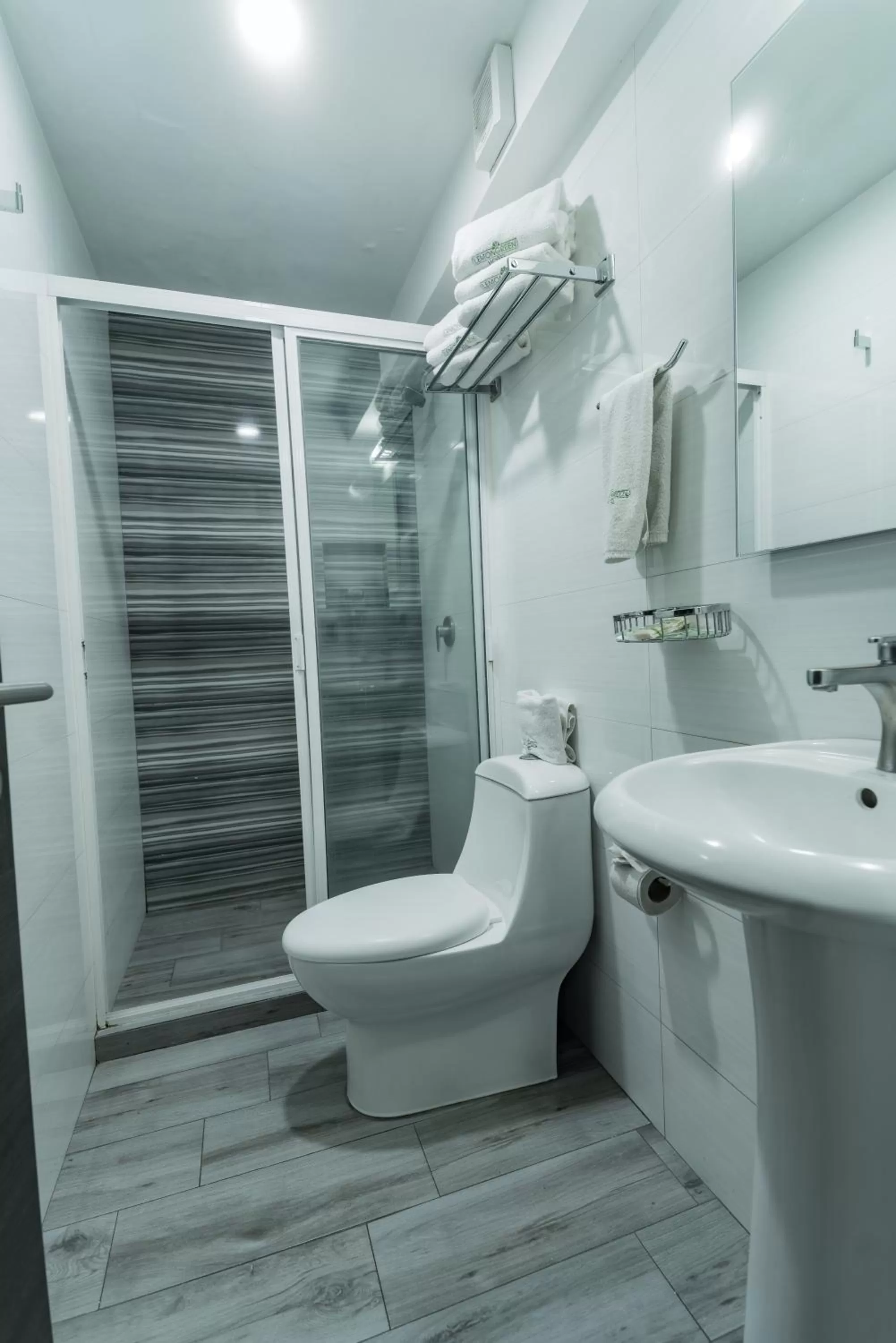 Bathroom in HOTEL LEMON GREEN -Zona Expo Frente al Centro de Convenciones