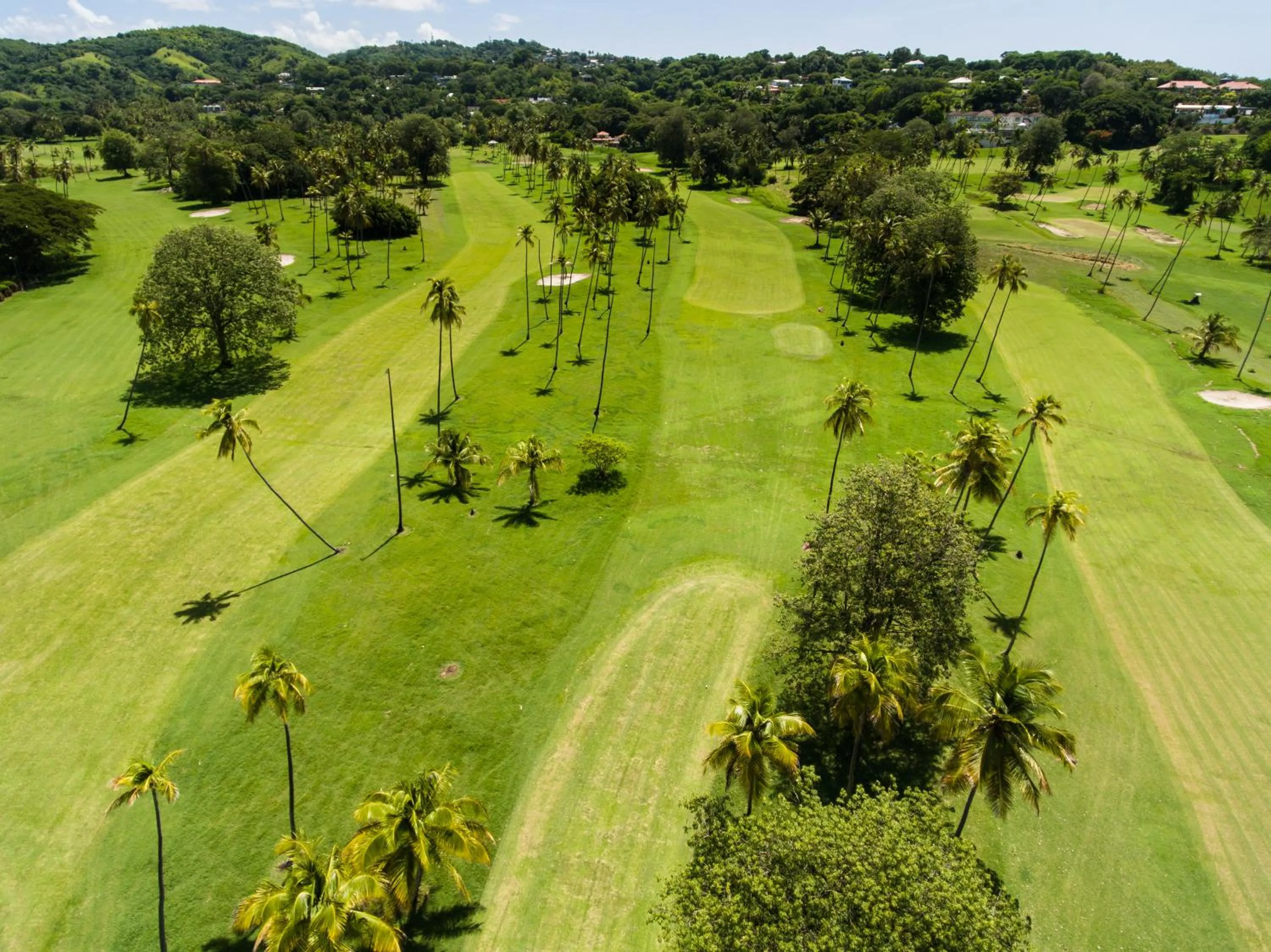 Bird's eye view in Mount Irvine Bay Resort