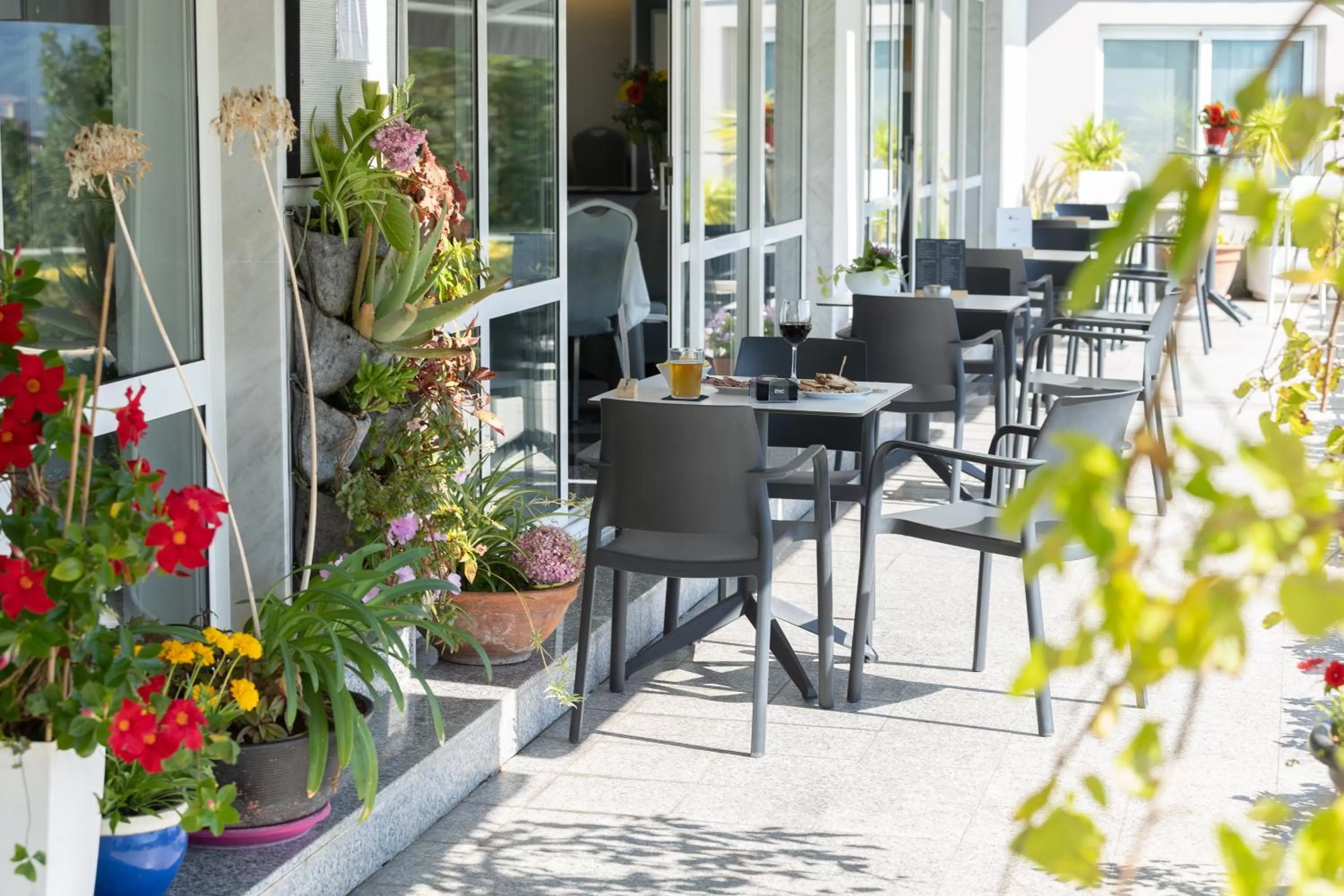Garden in Hotel Avenida