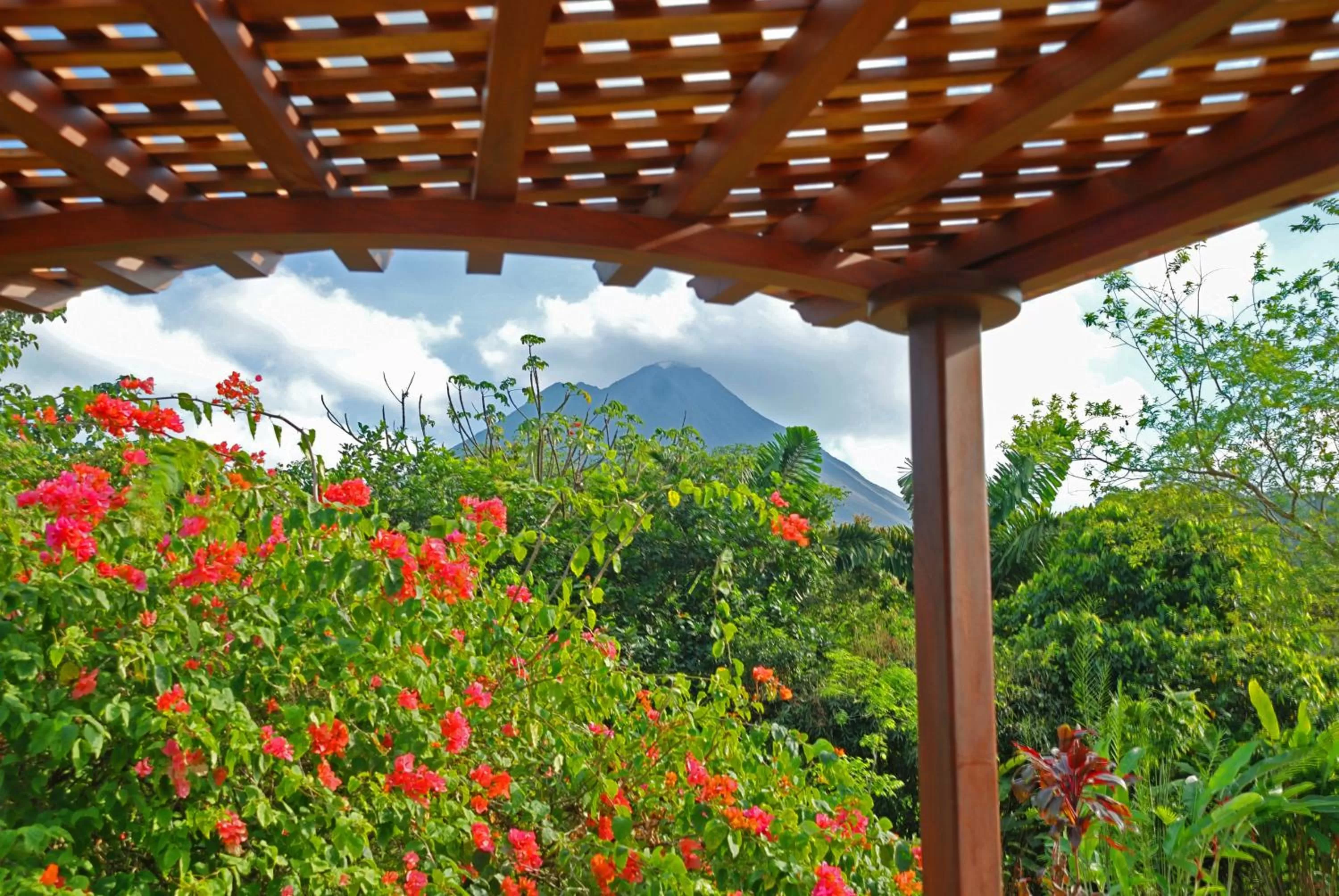 Day in Volcano Lodge, Hotel & Thermal Experience