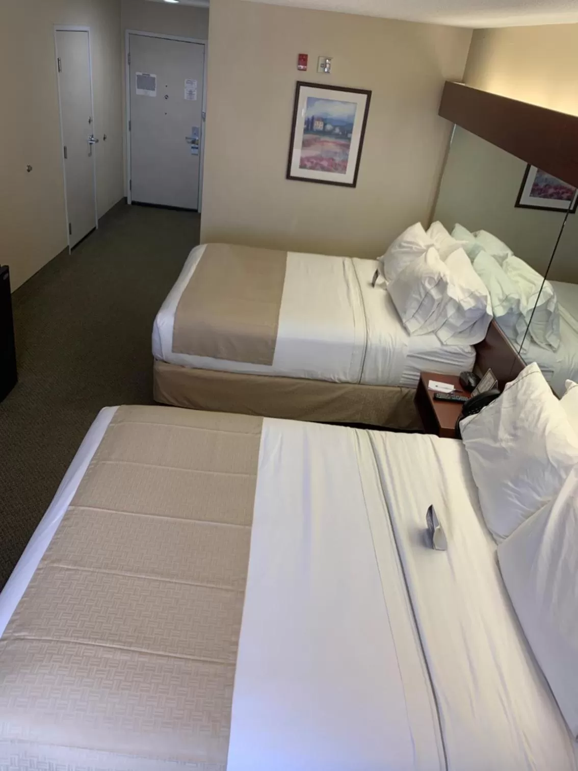 Bed in Microtel Inn & Suites by Wyndham Hattiesburg