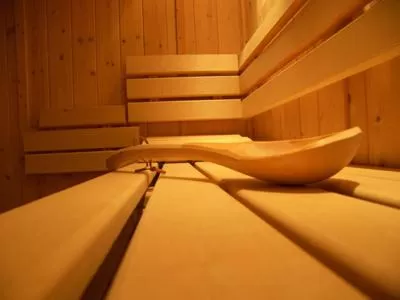 Spa and wellness centre/facilities in Hotel Lindenhof