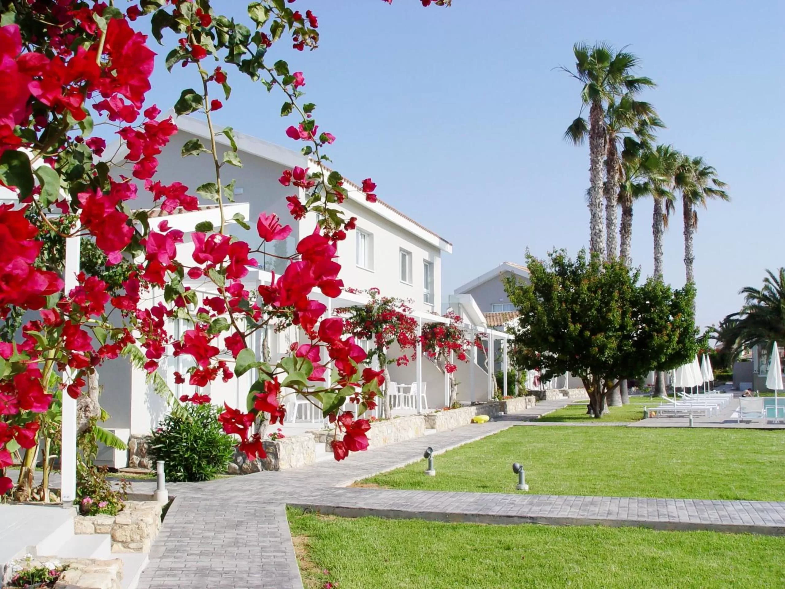 Garden in Mon Repos Hotel