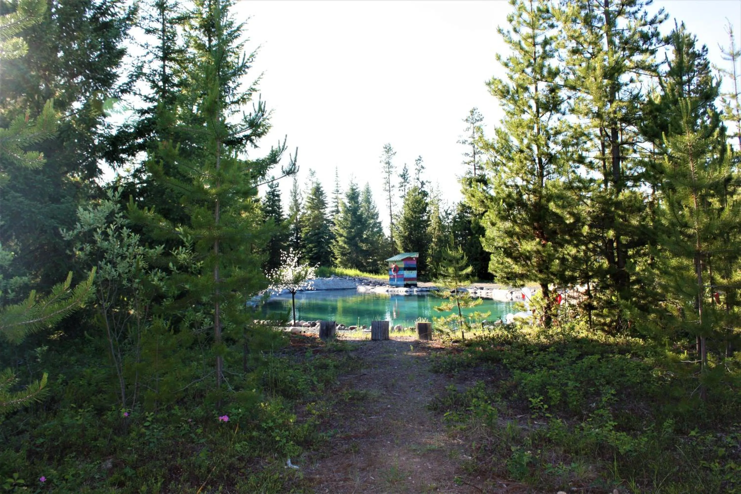 Swimming pool in Woodhouse Cottages And Ranch