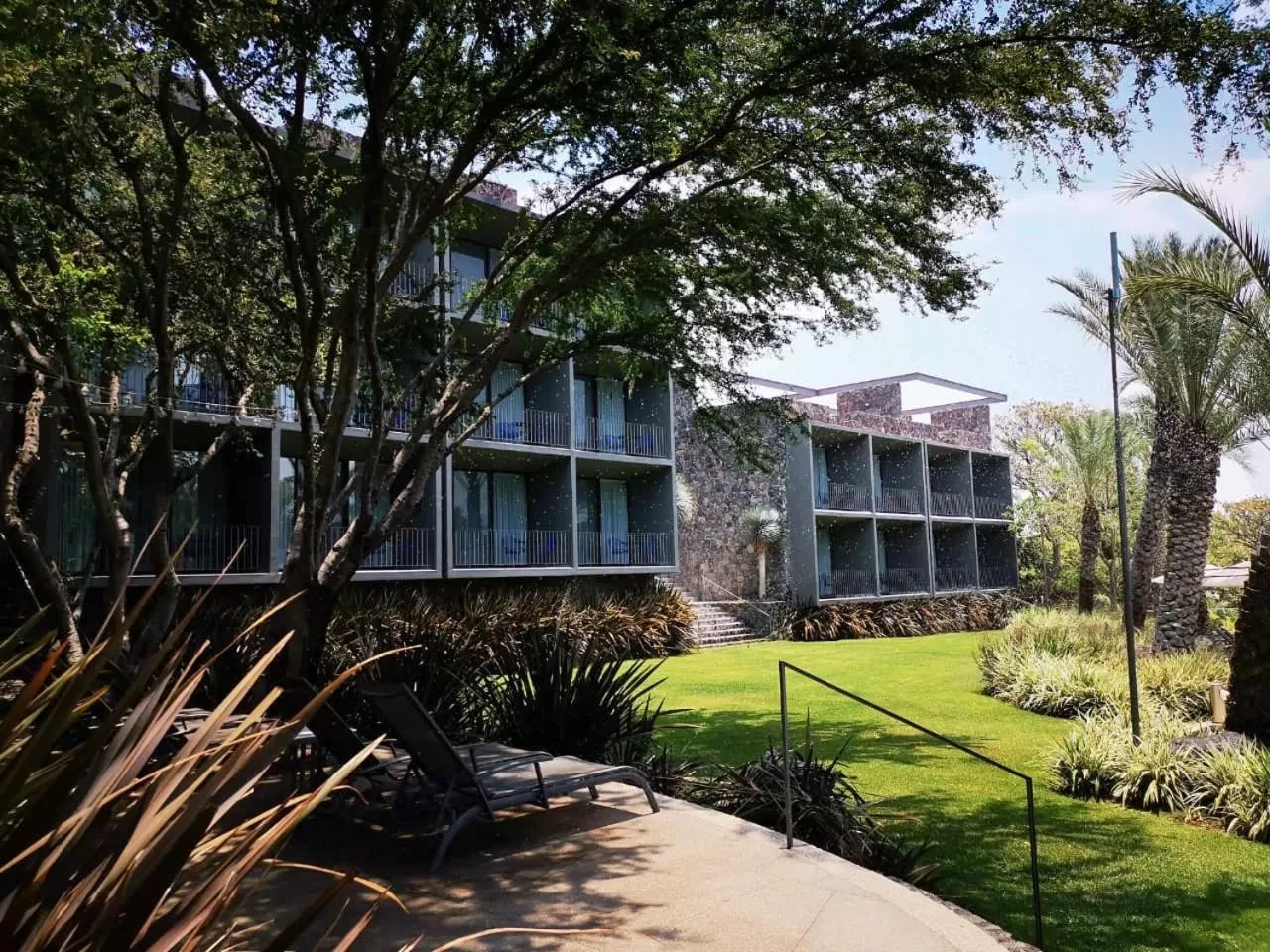 Property building in Huayacán Cuernavaca Curamoria Collection
