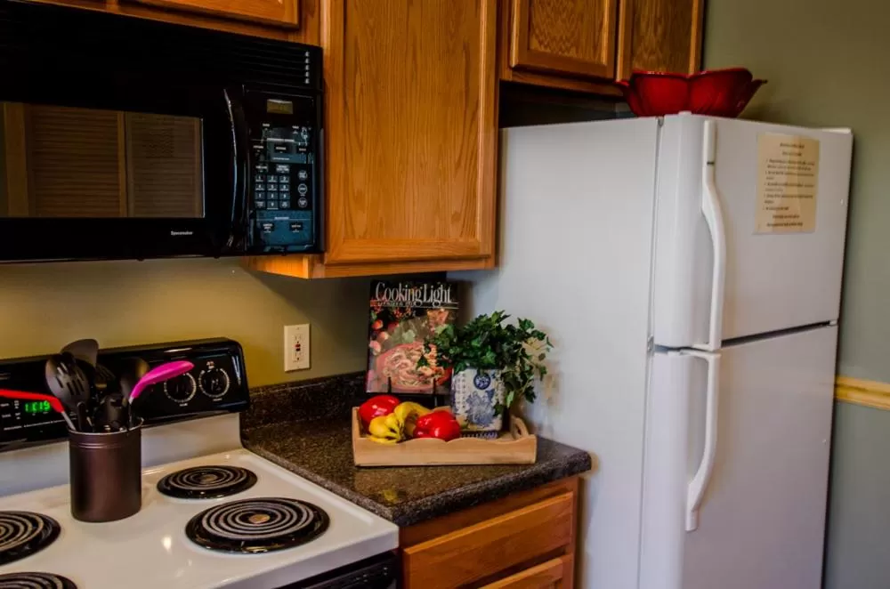 Kitchen or kitchenette, Kitchen/Kitchenette in Asheville Cabins of Willow Winds