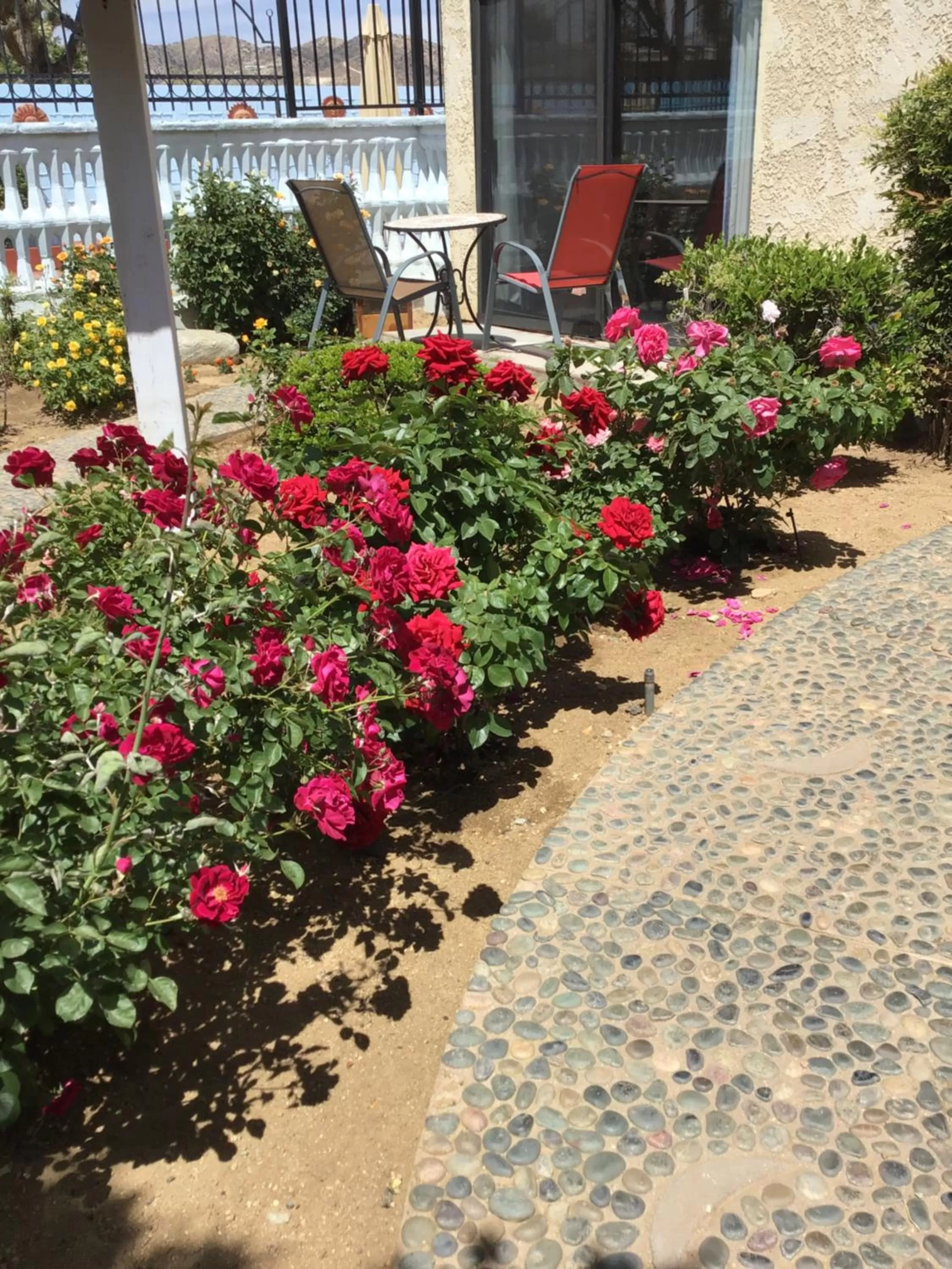 Garden in Americas Best Value Inn and Suites -Yucca Valley
