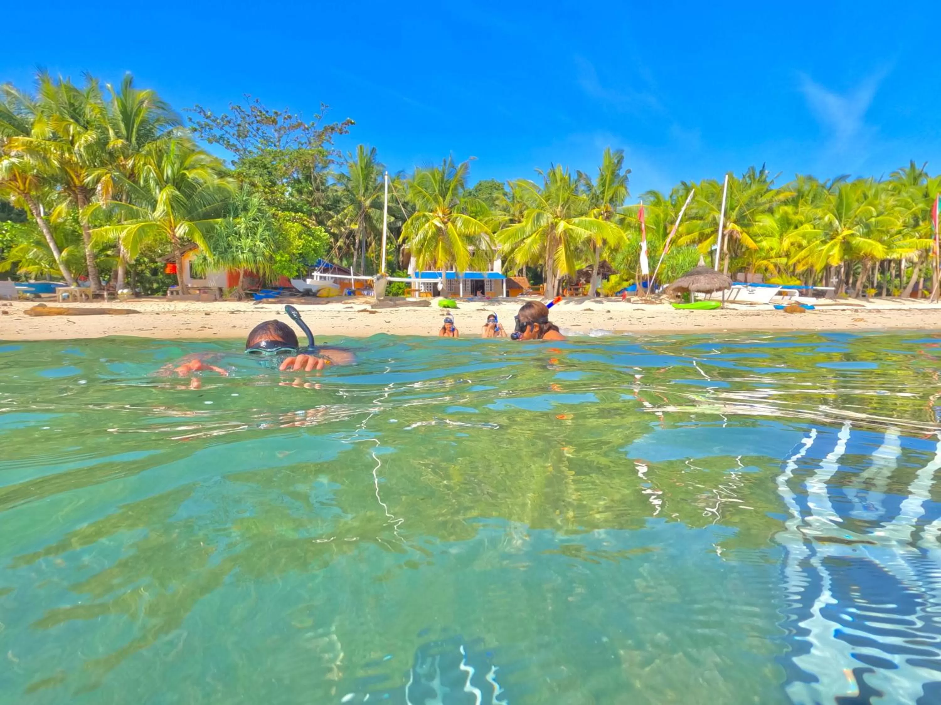 Snorkeling in Coco Grove Beach Resort, Siquijor Island