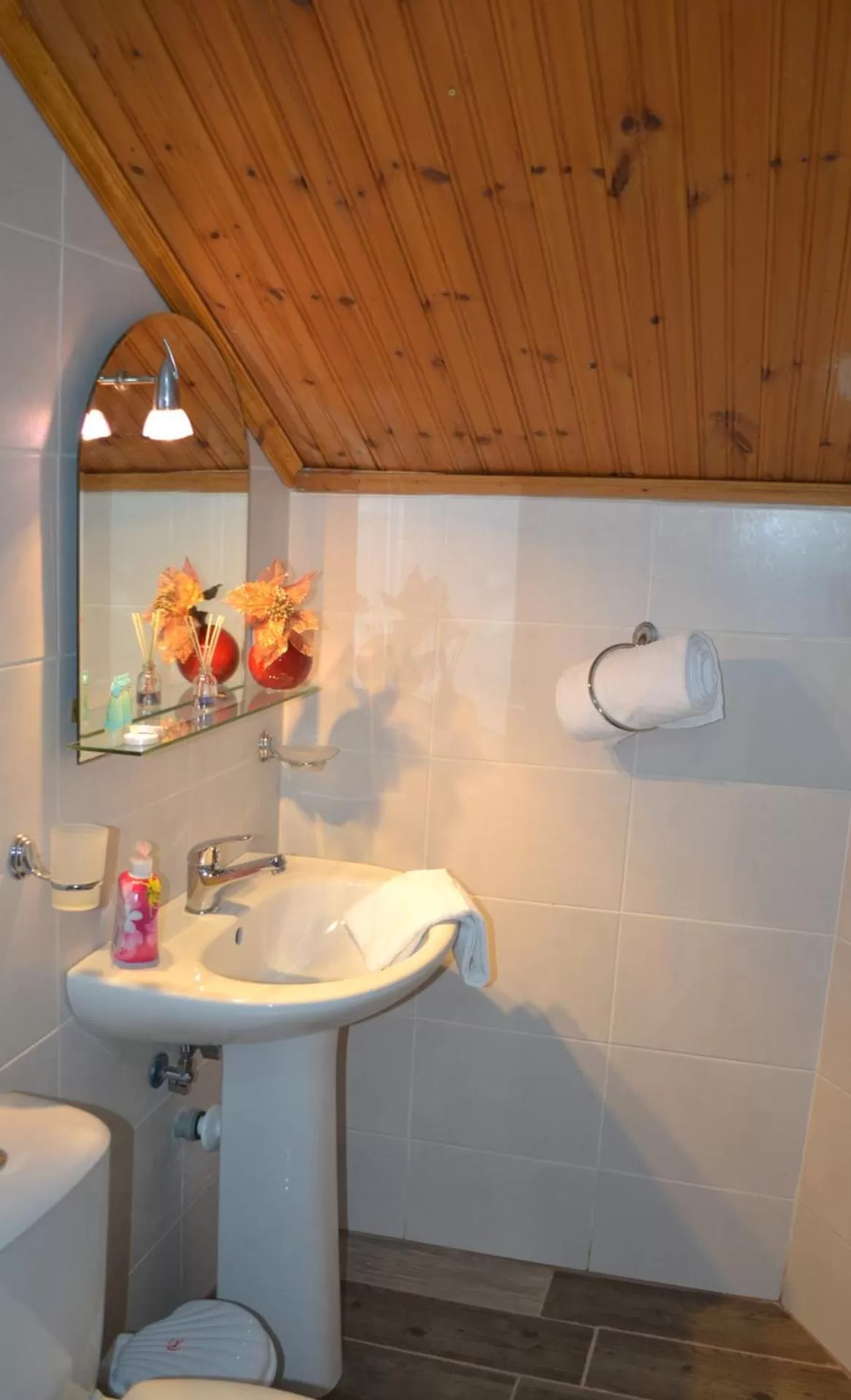 Toilet in Tirana Central GuestHouse