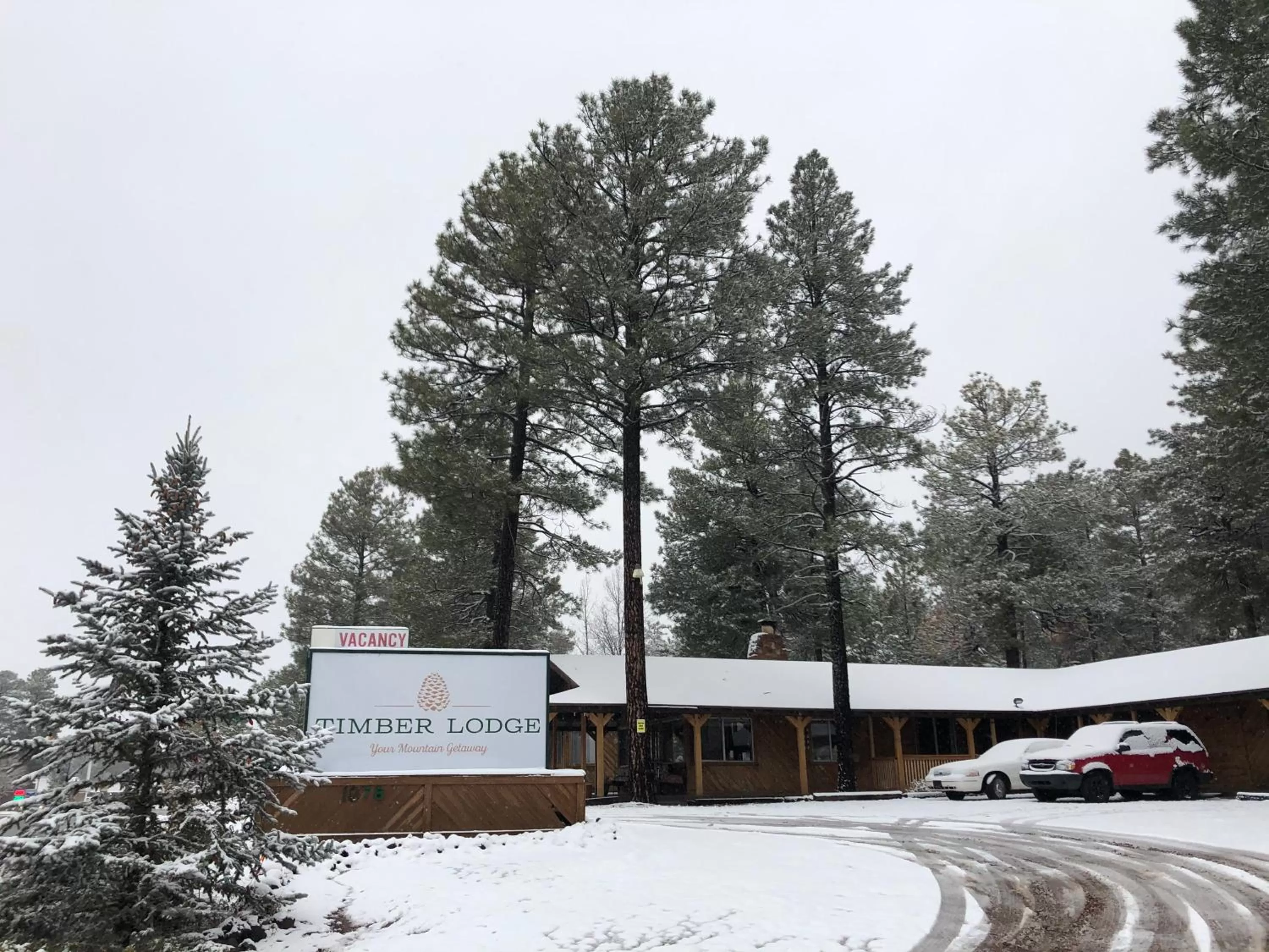 Winter in TimberLodge Inn