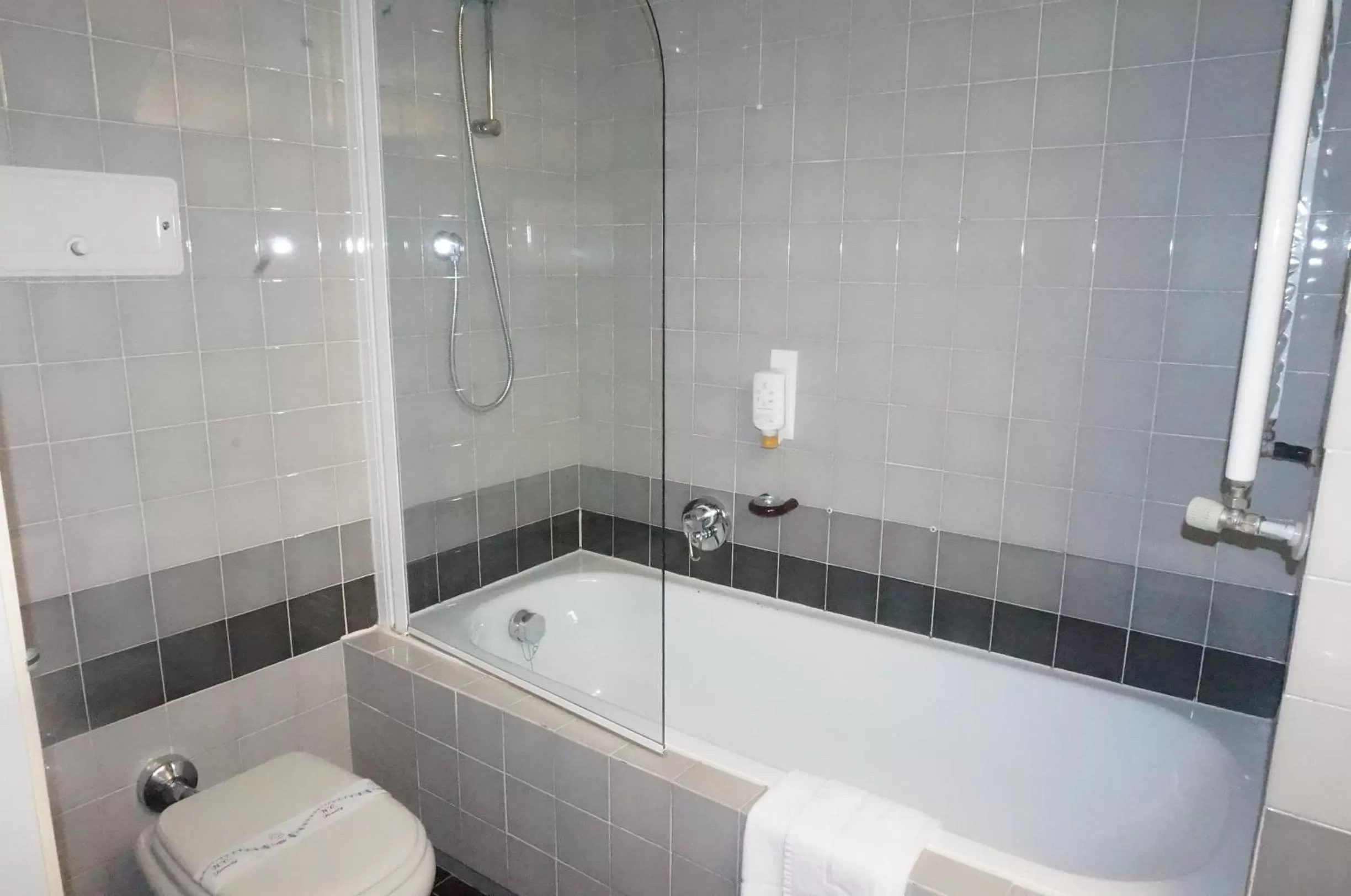 Toilet in Hotel Maxim