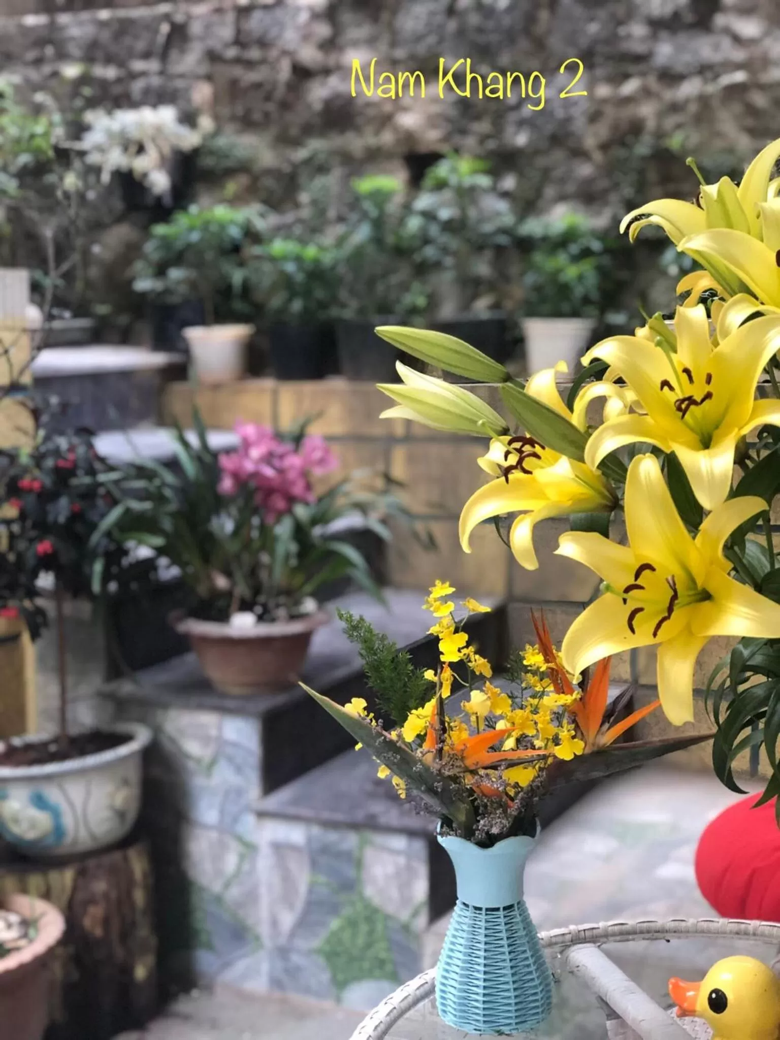 Garden view in Villa - Hotel Nam Khang 2 Dalat