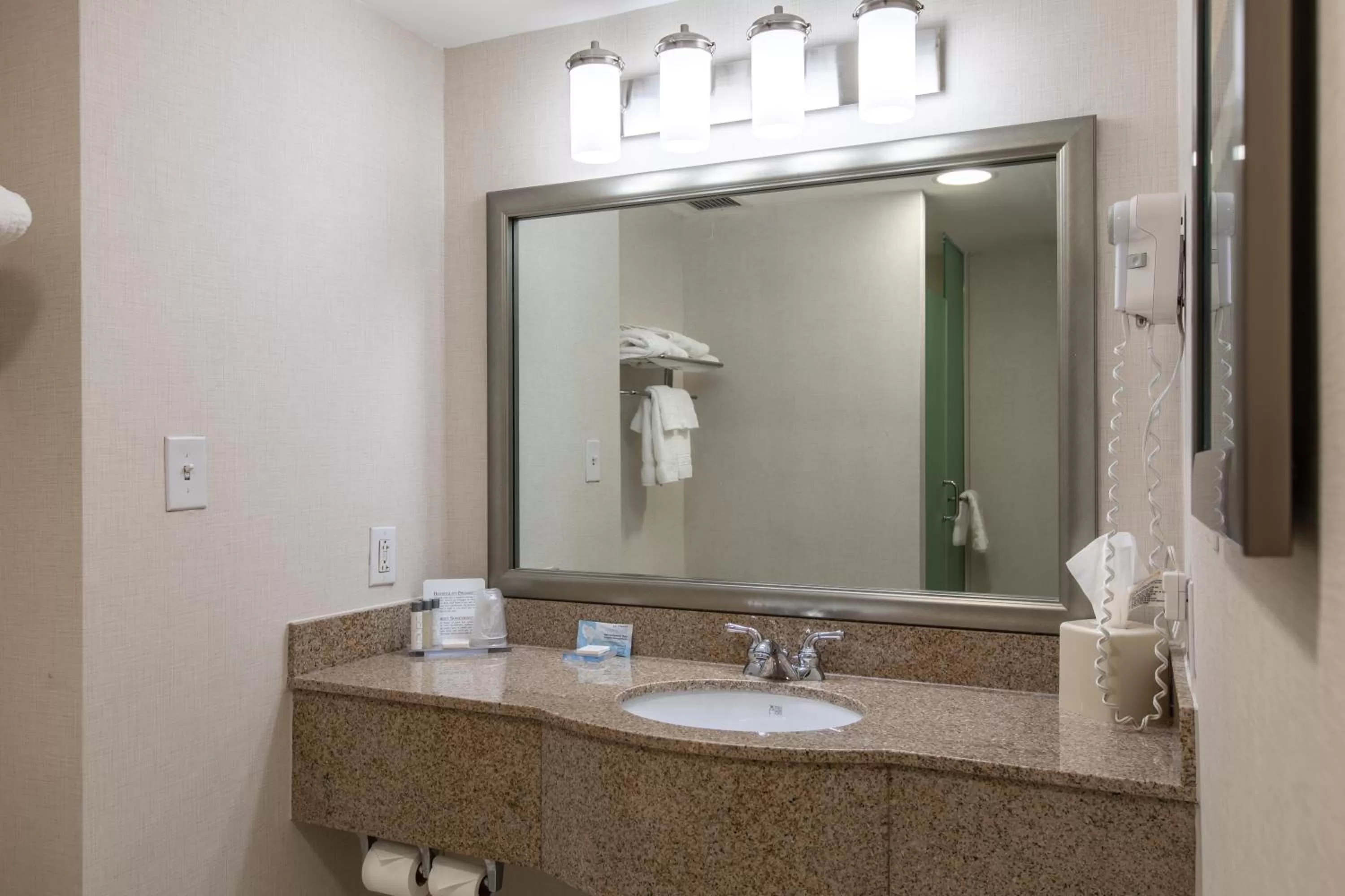 Bathroom in Wingate by Wyndham Charlotte Concord Mills/Speedway