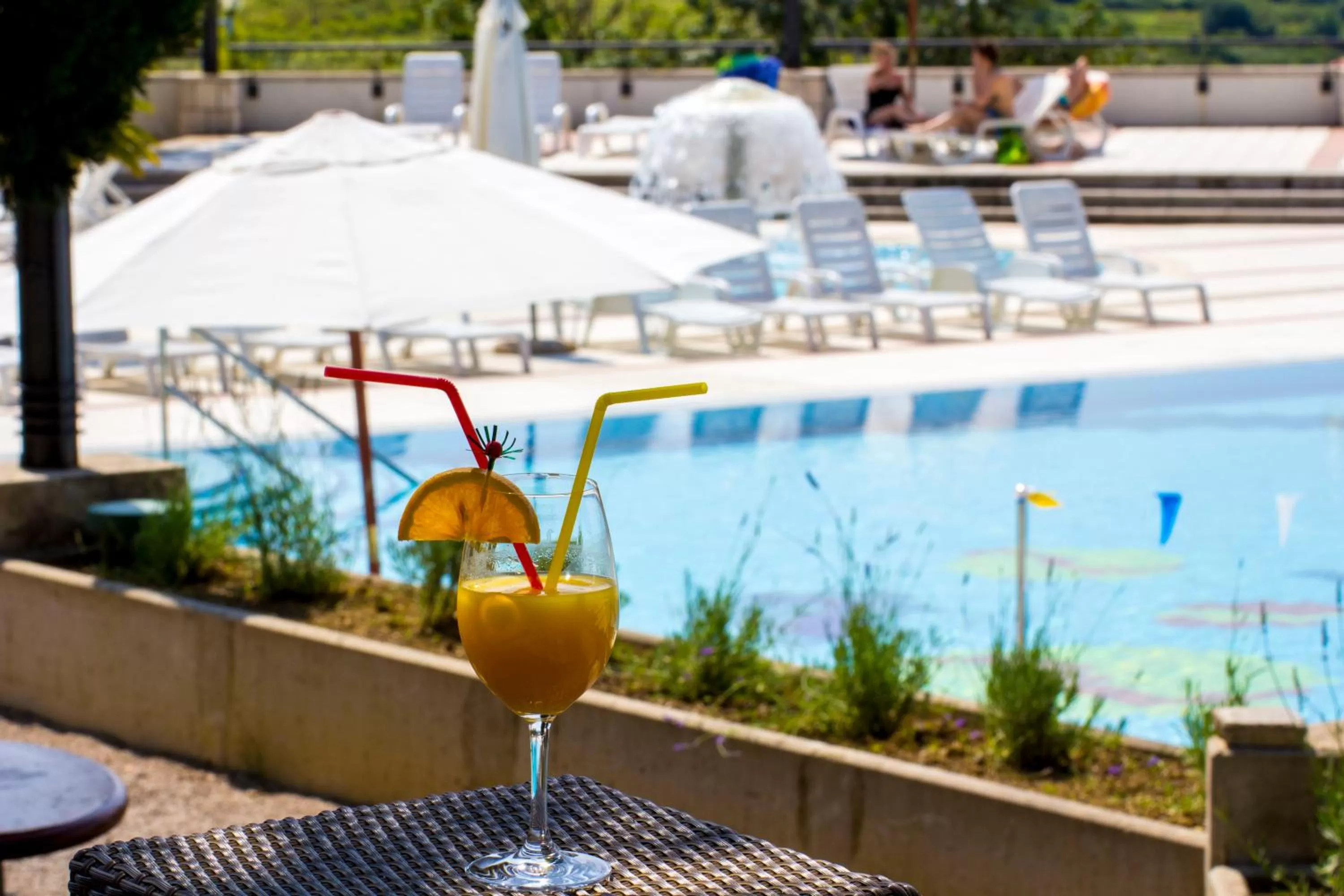 Swimming pool in Belvedere Resort Hotels