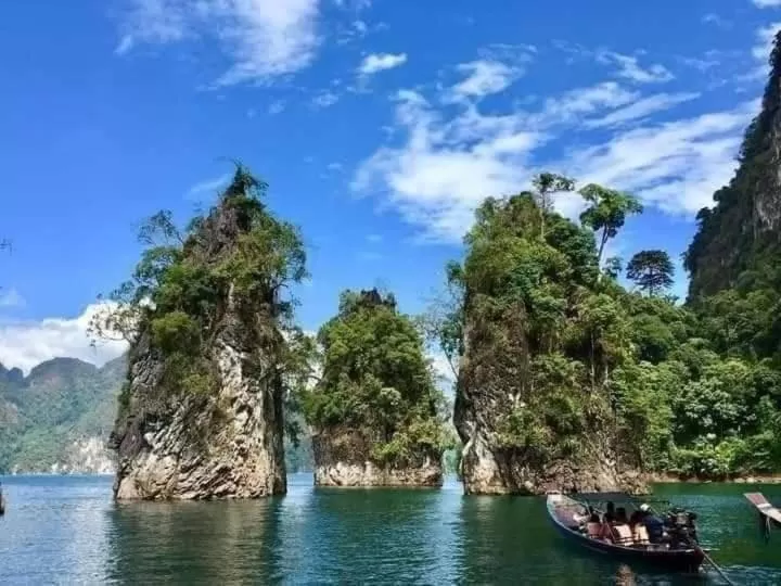 Tree Tops River Huts