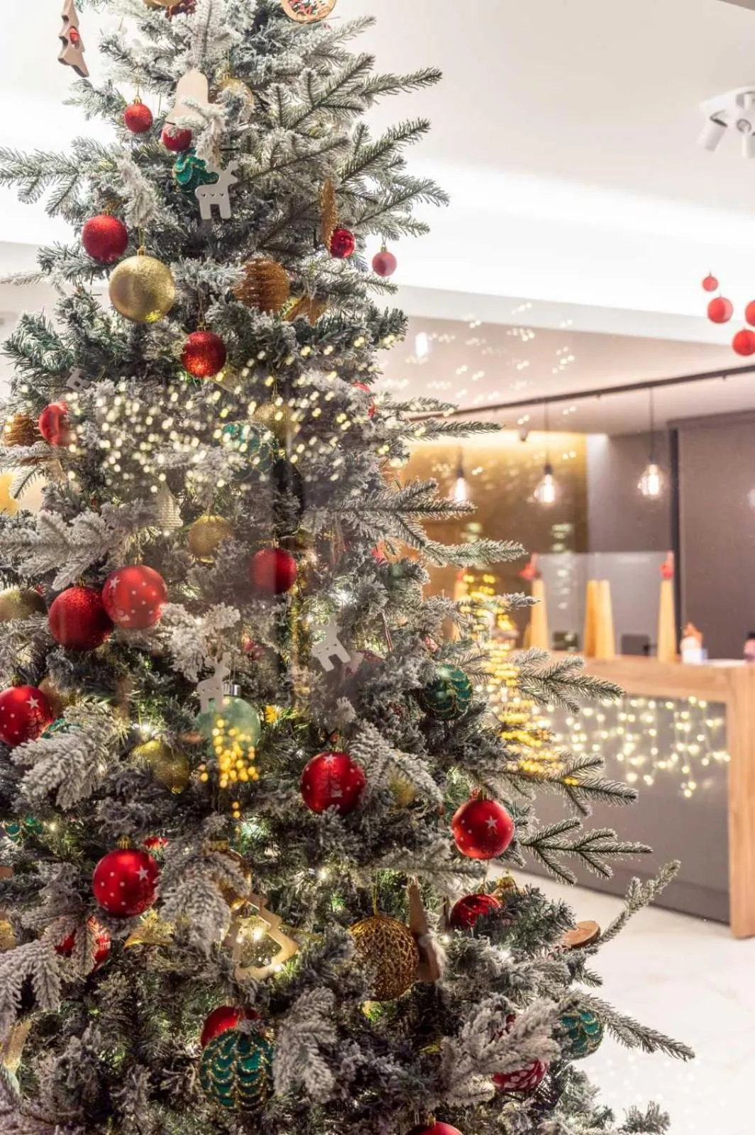 Banquet/Function facilities in Athens Panorama Project