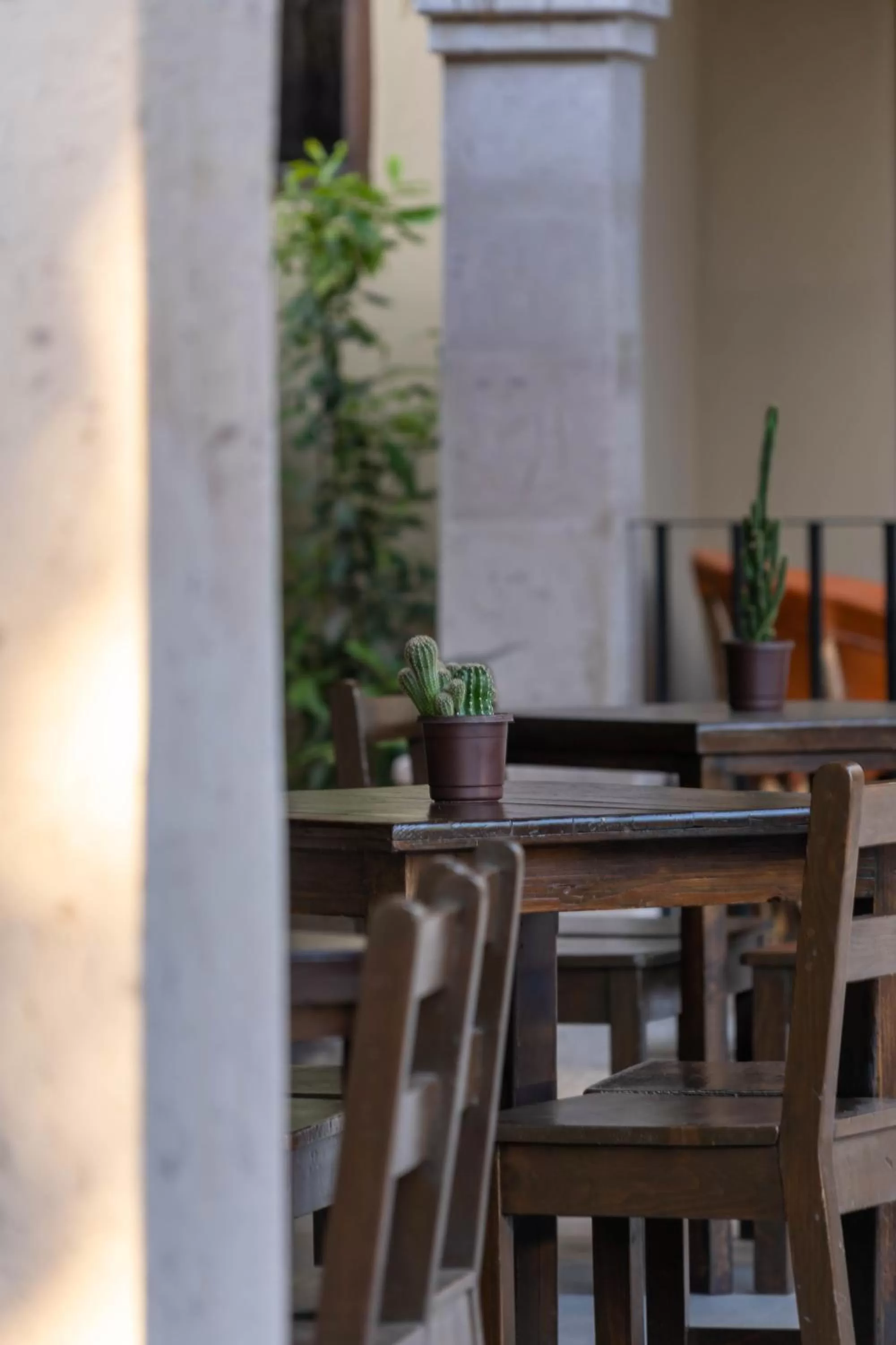 Dining area in Hotel 1697 Loreto