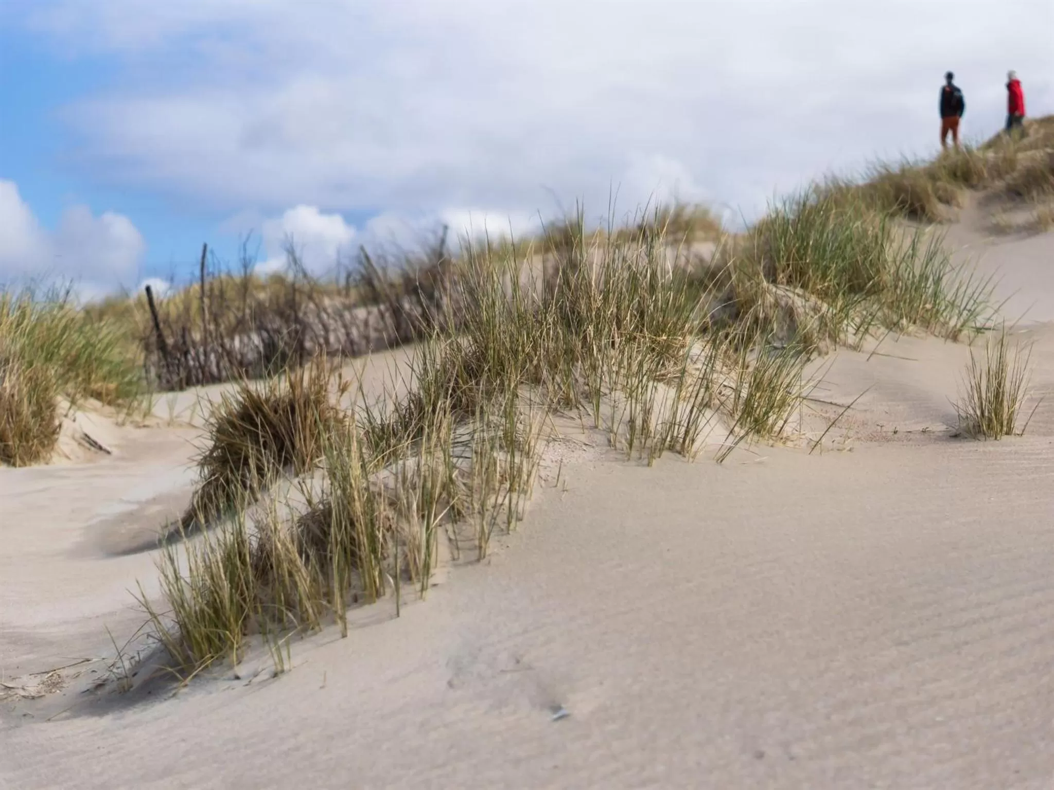 Other in Inselhotel Bruns