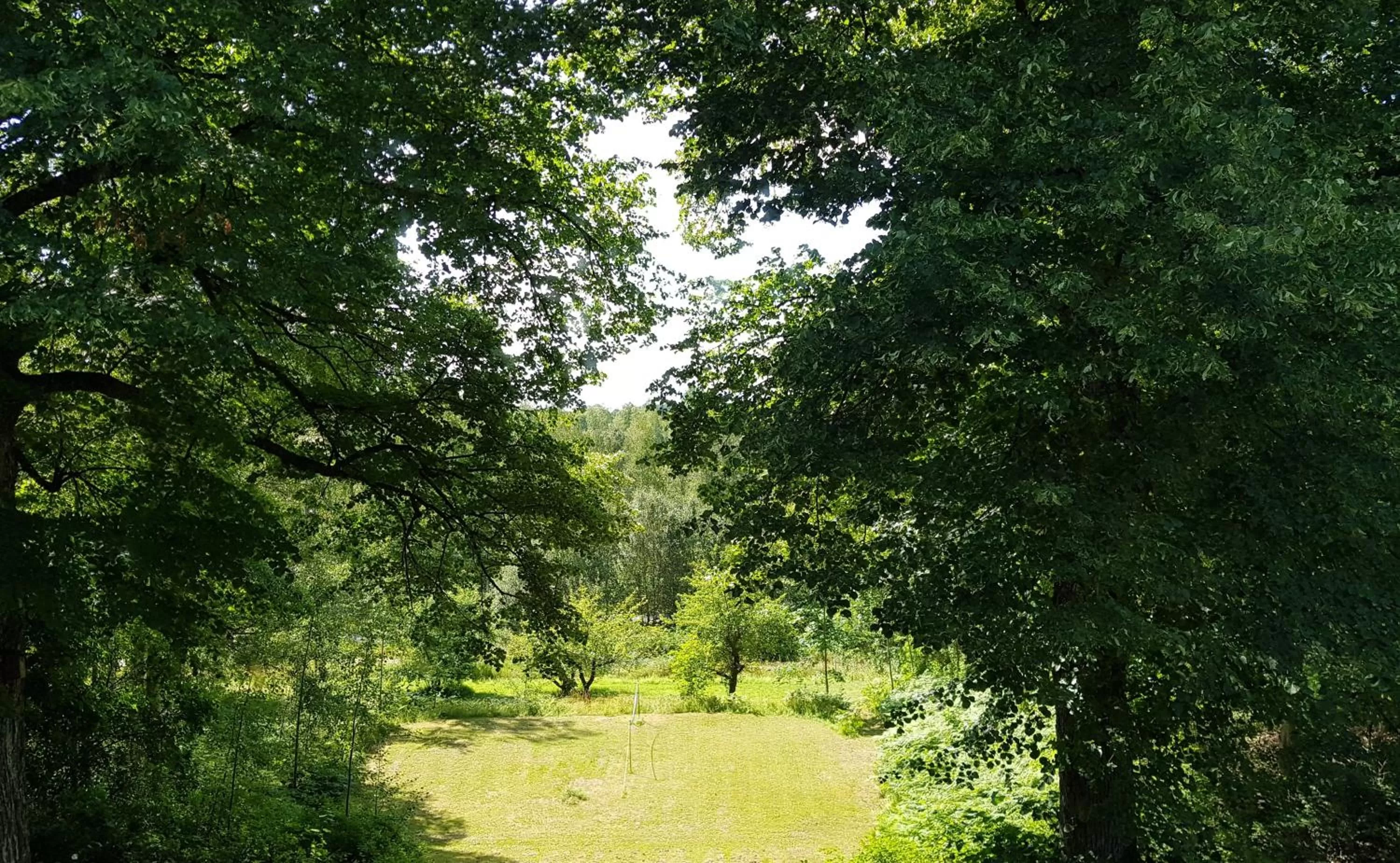 Garden view in Brukshotellet Skinnsberg