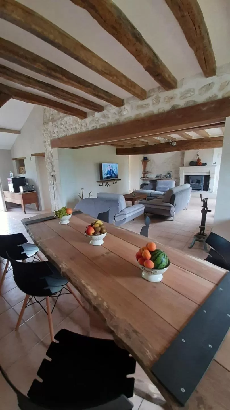 Living room in La BerryCurienne proche du Zoo de Beauval Saint-Aignan avec SDB, WC ET SPA PRIVATIF pour chaque chambre