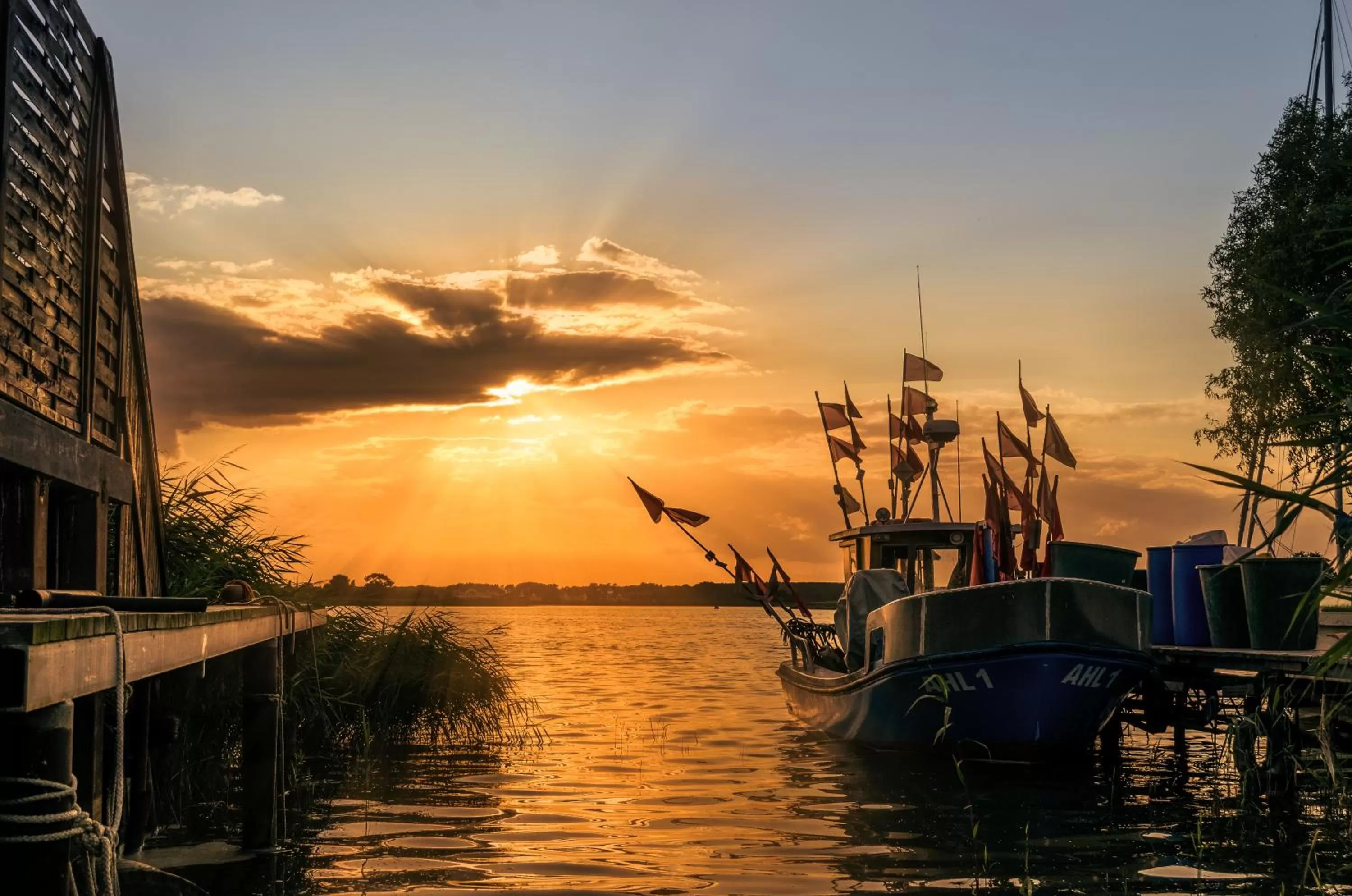 Natural landscape in Hotel Wald und See