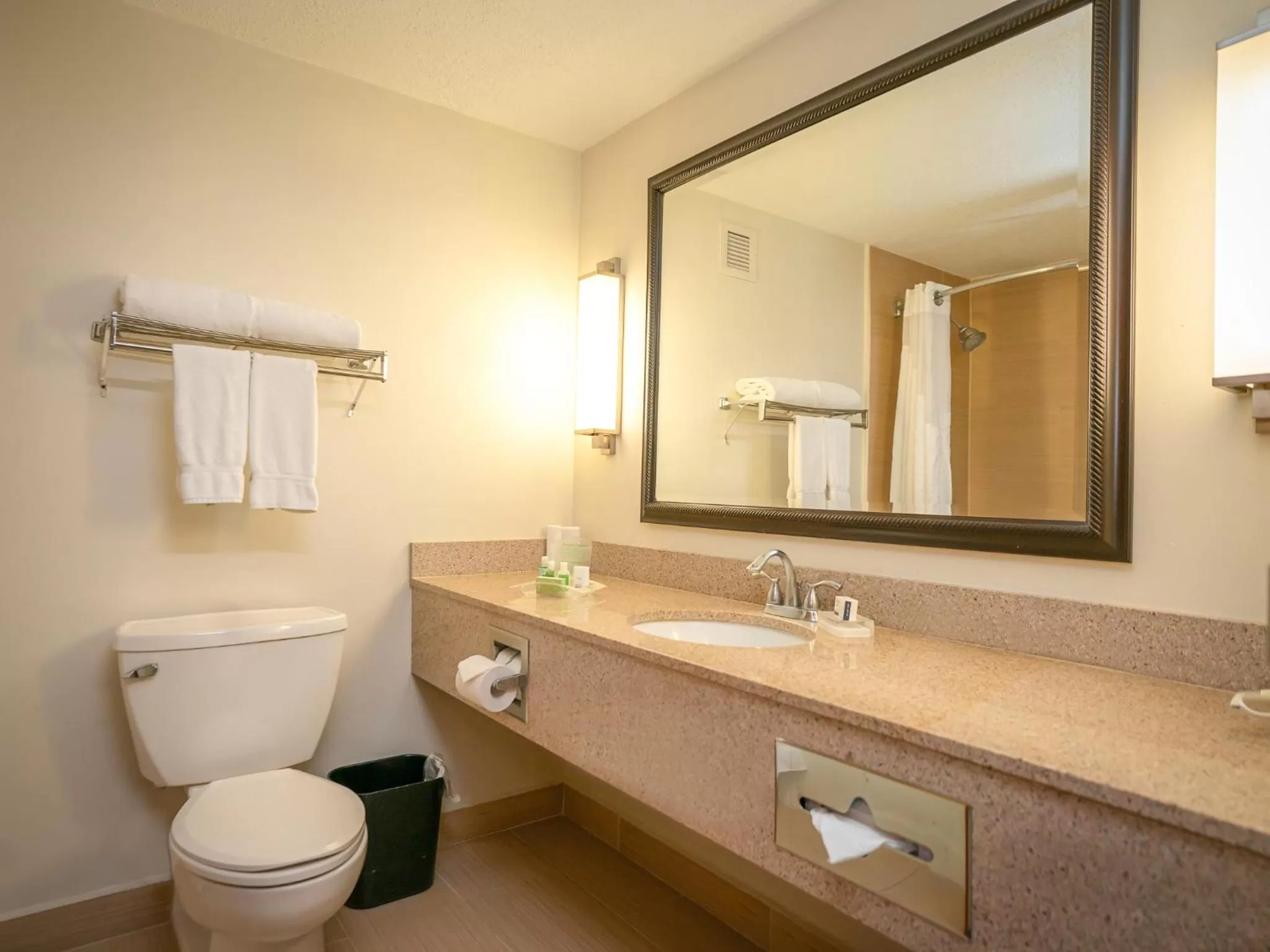 Bathroom in Holiday Inn Mayaguez & Tropical Casino by IHG