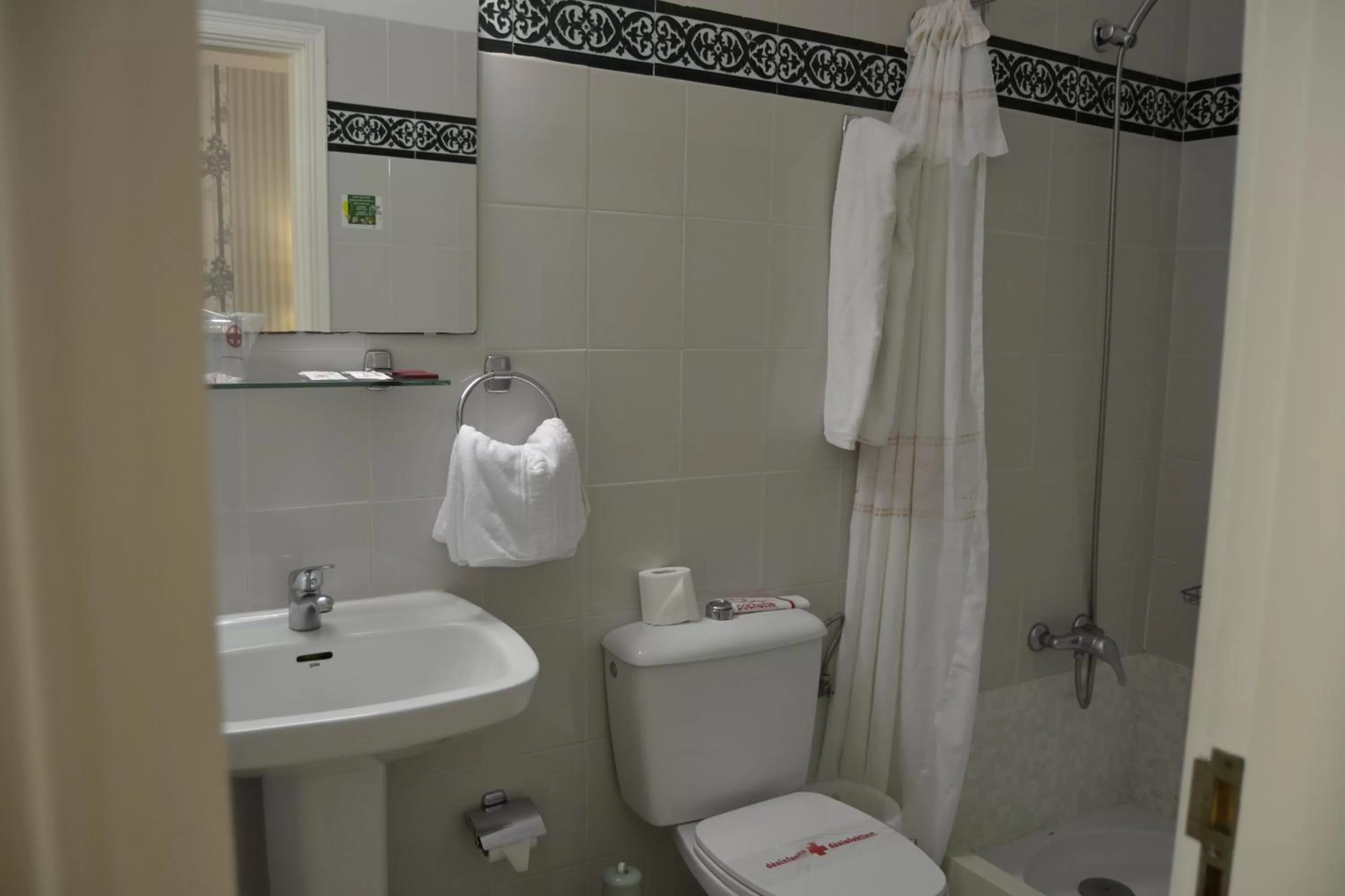 Toilet in Hotel Apartamentos Villa Gomera