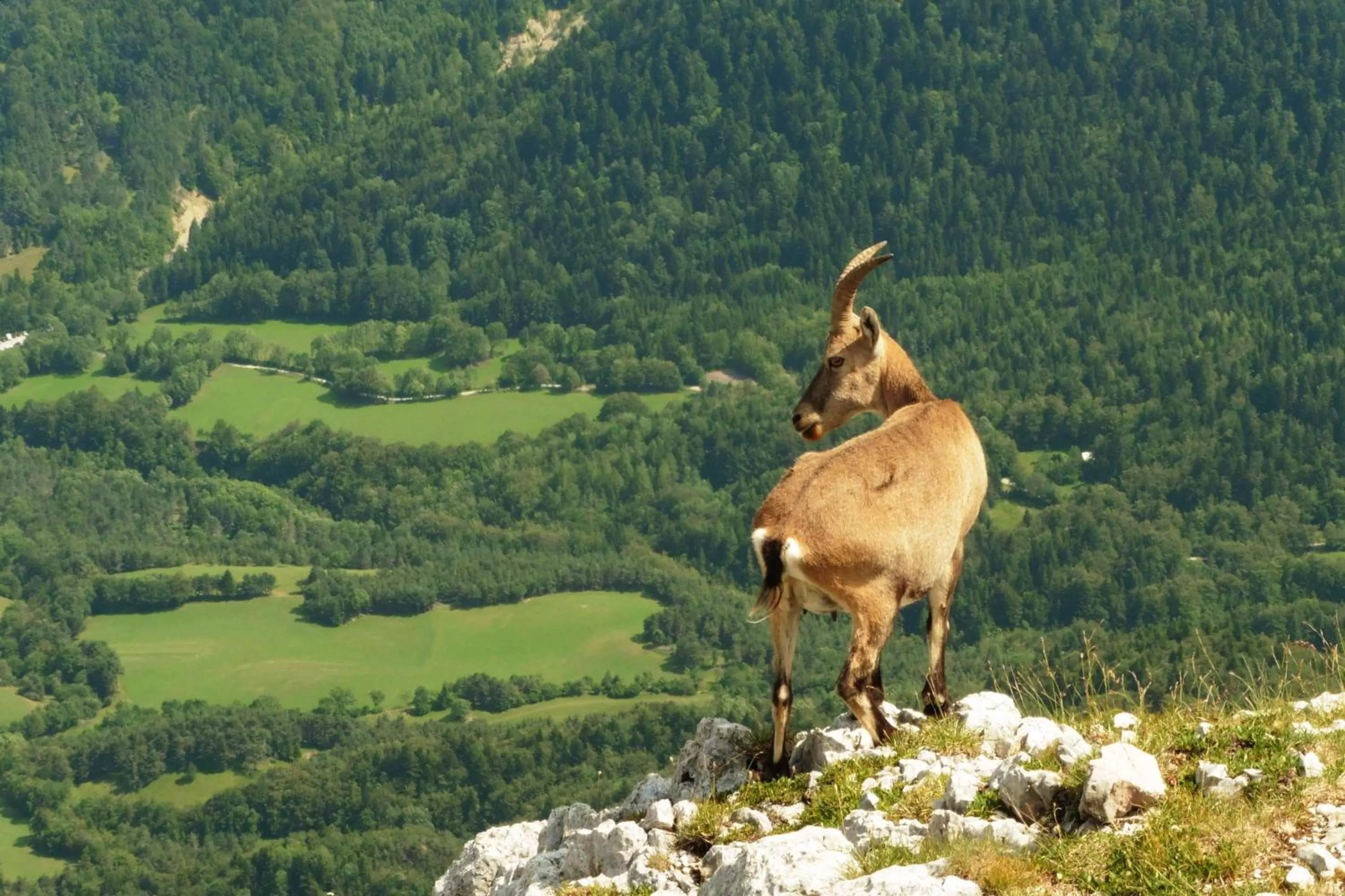 Activities in L'Estapade des Tourelons