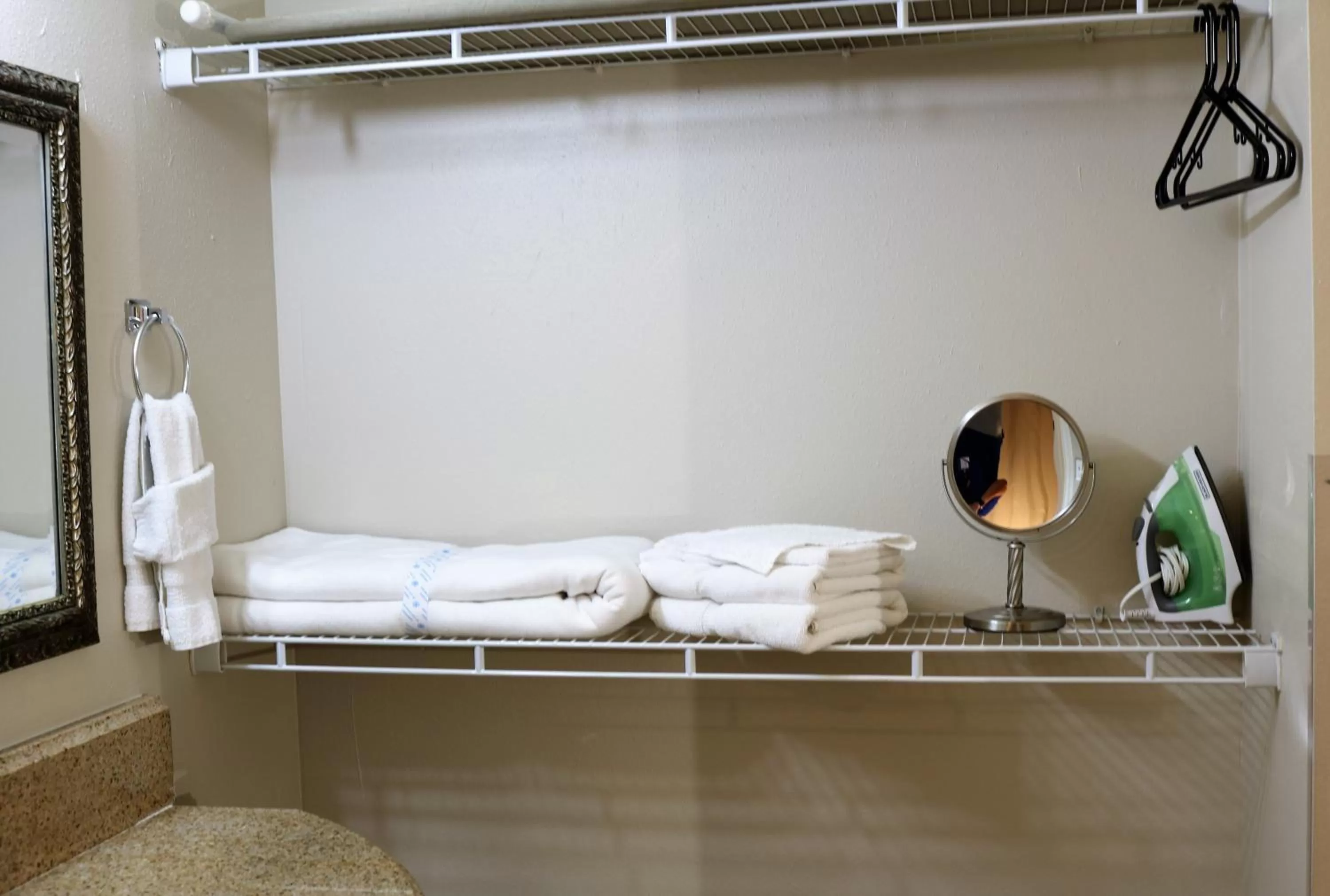 Toilet in Monte Carlo Inn- Near Disney