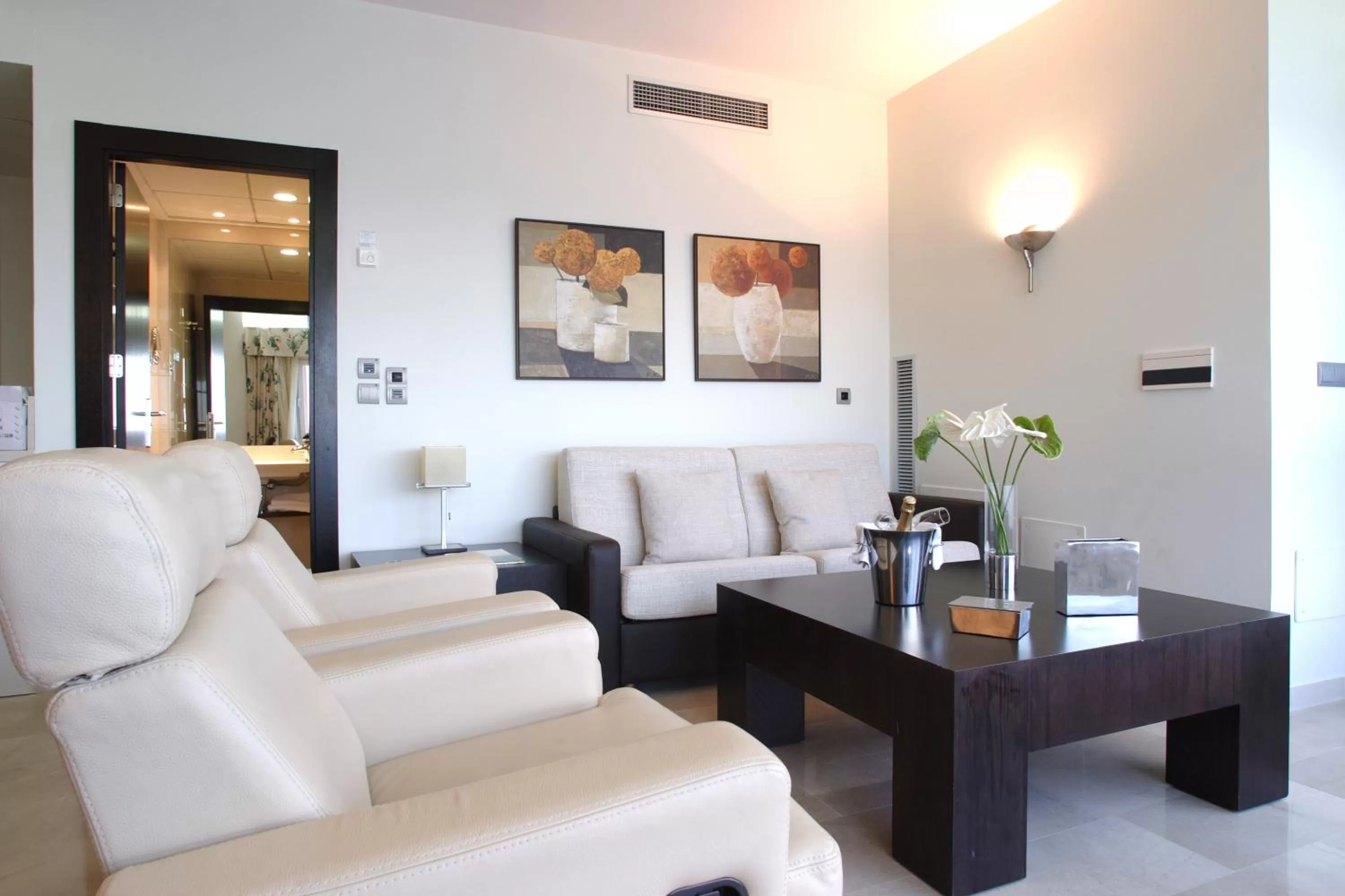 Living room in Senator Águilas