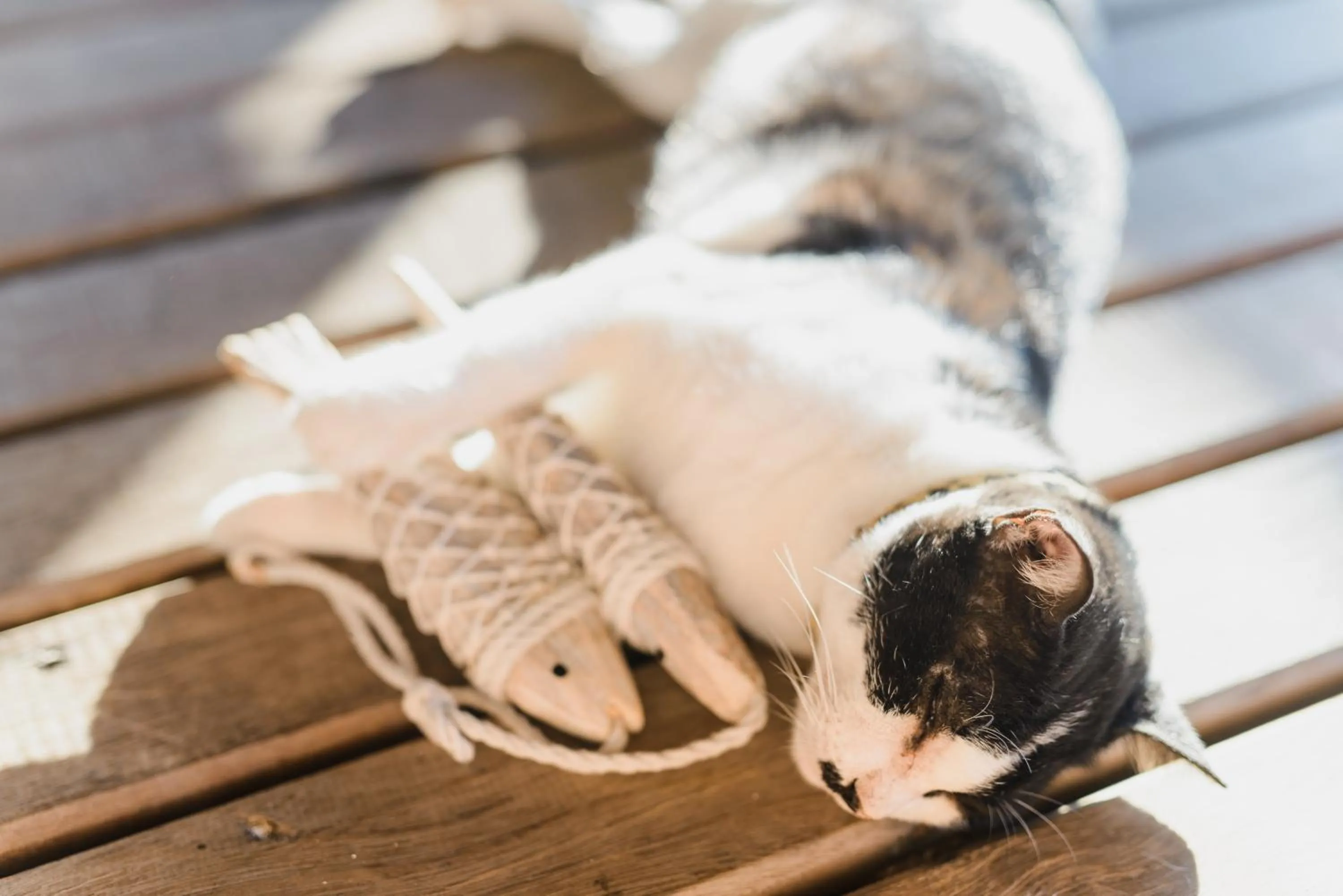 Balcony/Terrace in Koh Munnork Private Island