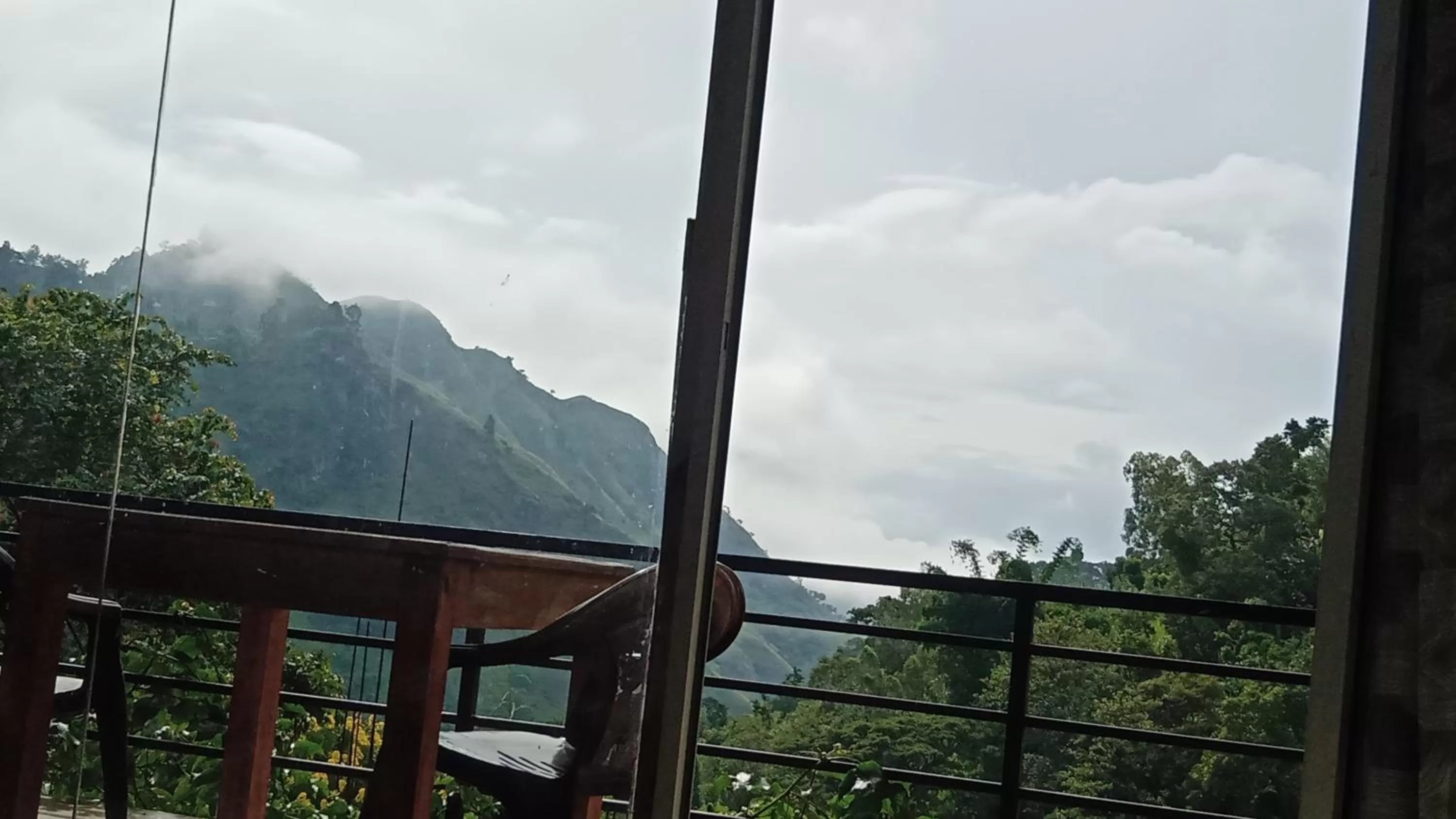 Ella Lucky Panoramic