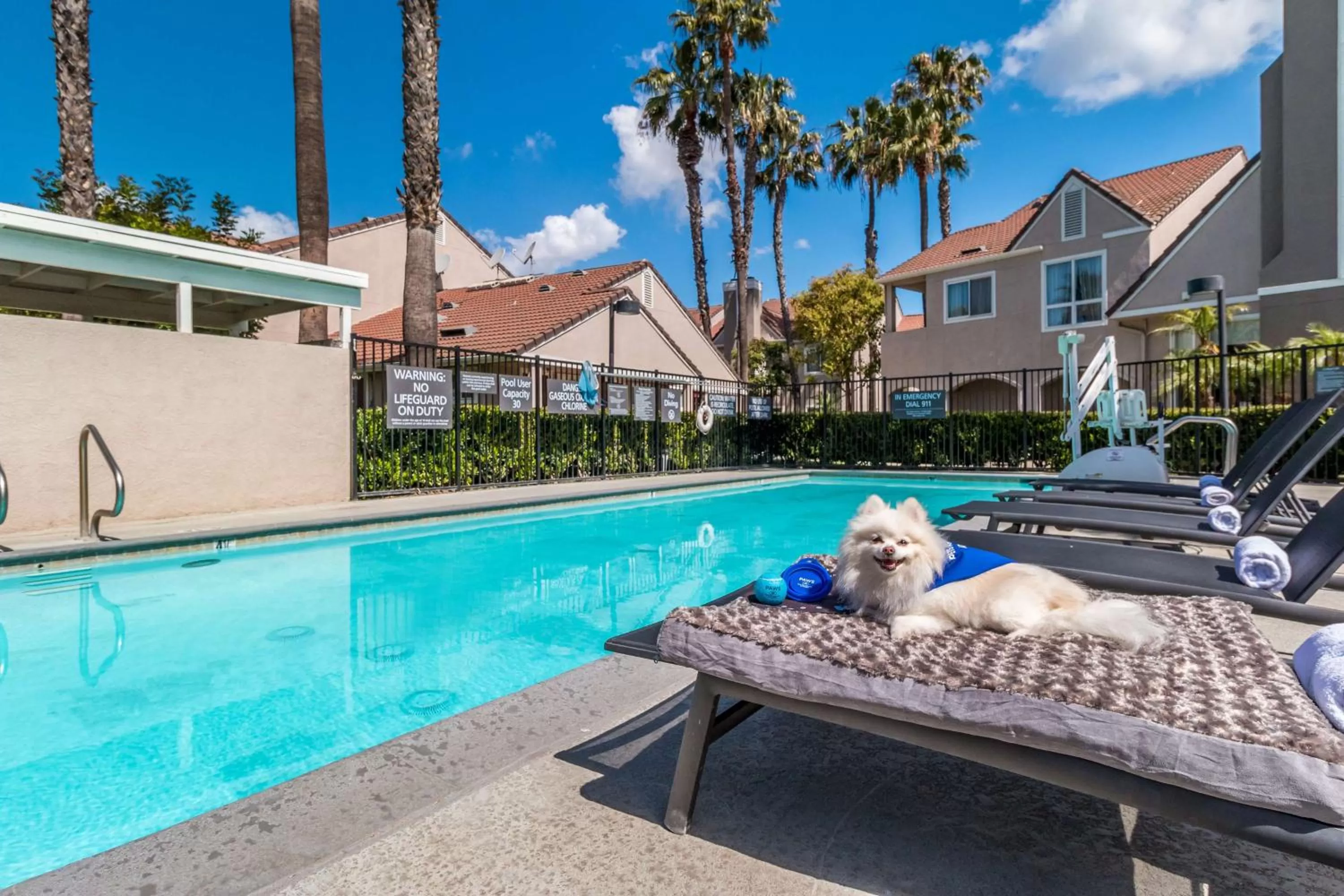 Pool view in Sonesta ES Suites Huntington Beach Fountain Valley