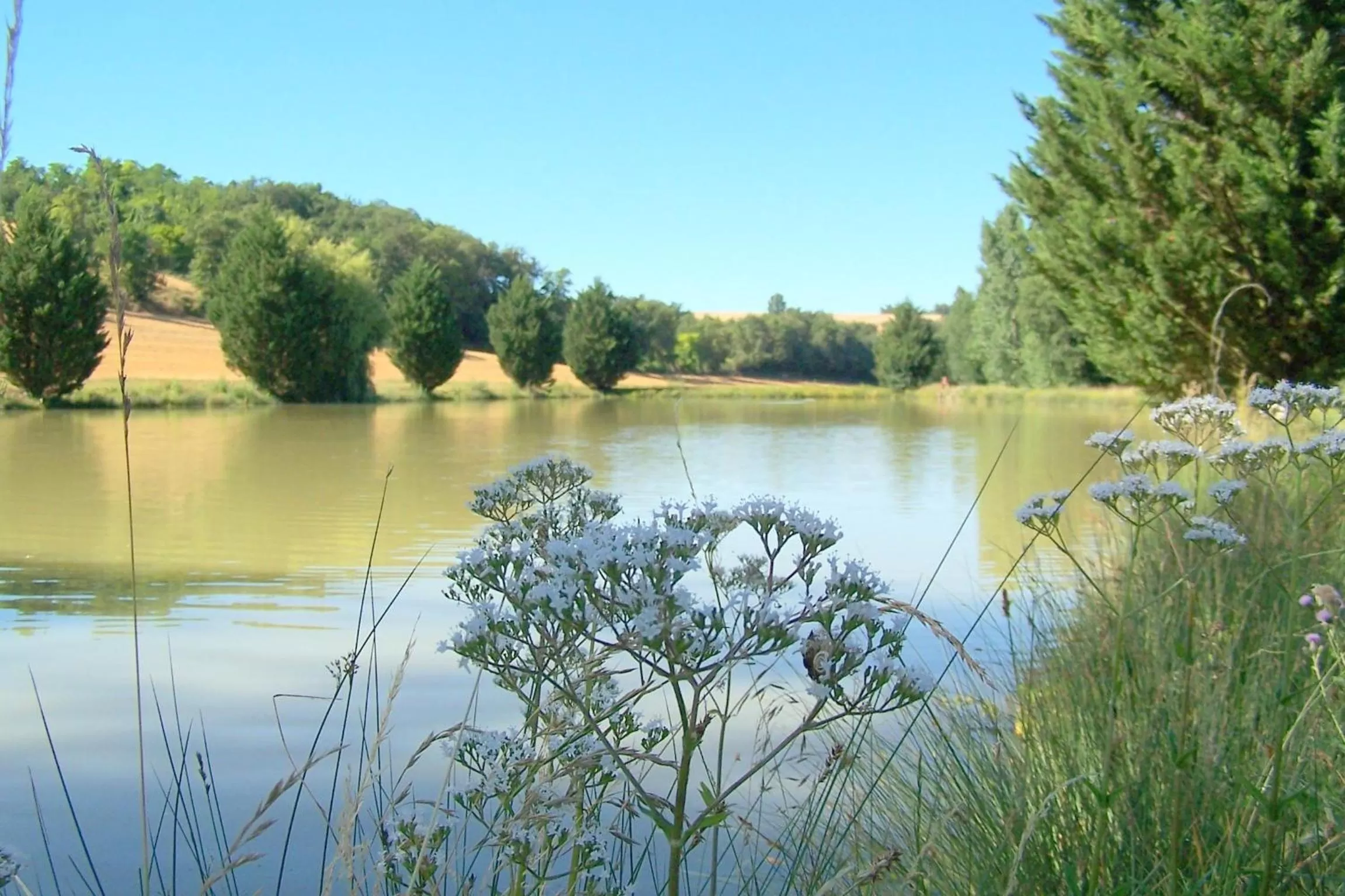 Lake view in Chambre d'Hôtes Le Moulin d'Encor